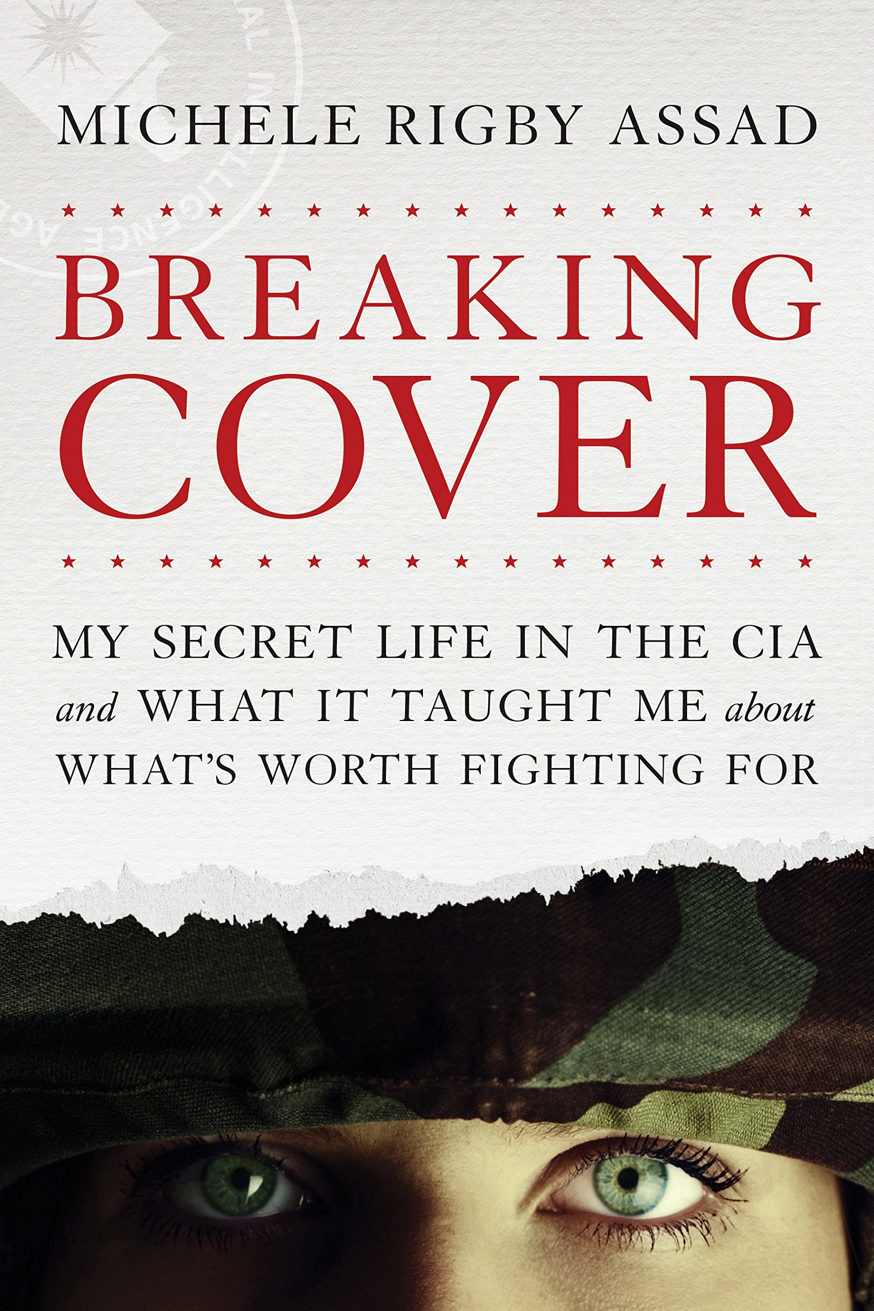 Breaking Cover Art & Literature