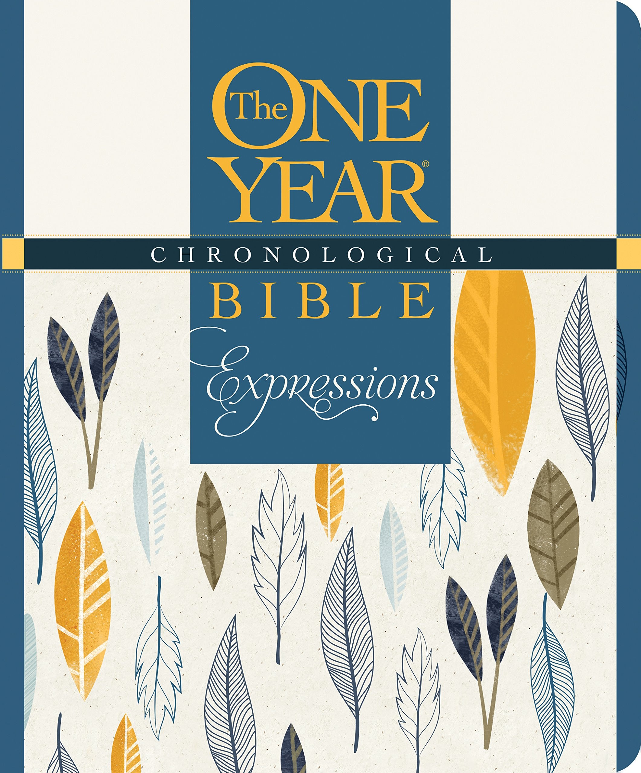 The One Year Chronological Bible Expressions: New Living Translations, Devotional book