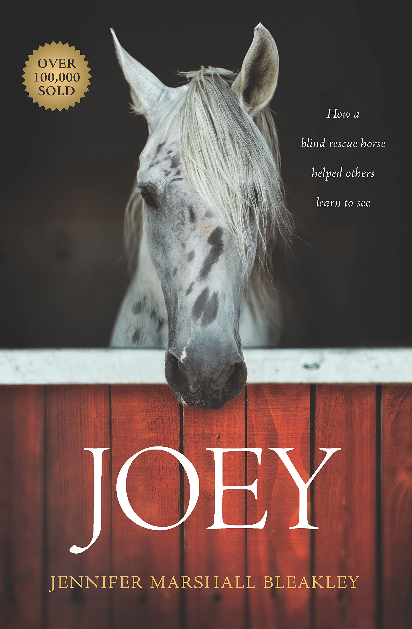Joey: How a Blind Rescue Horse Helped Others Learn to See Memories