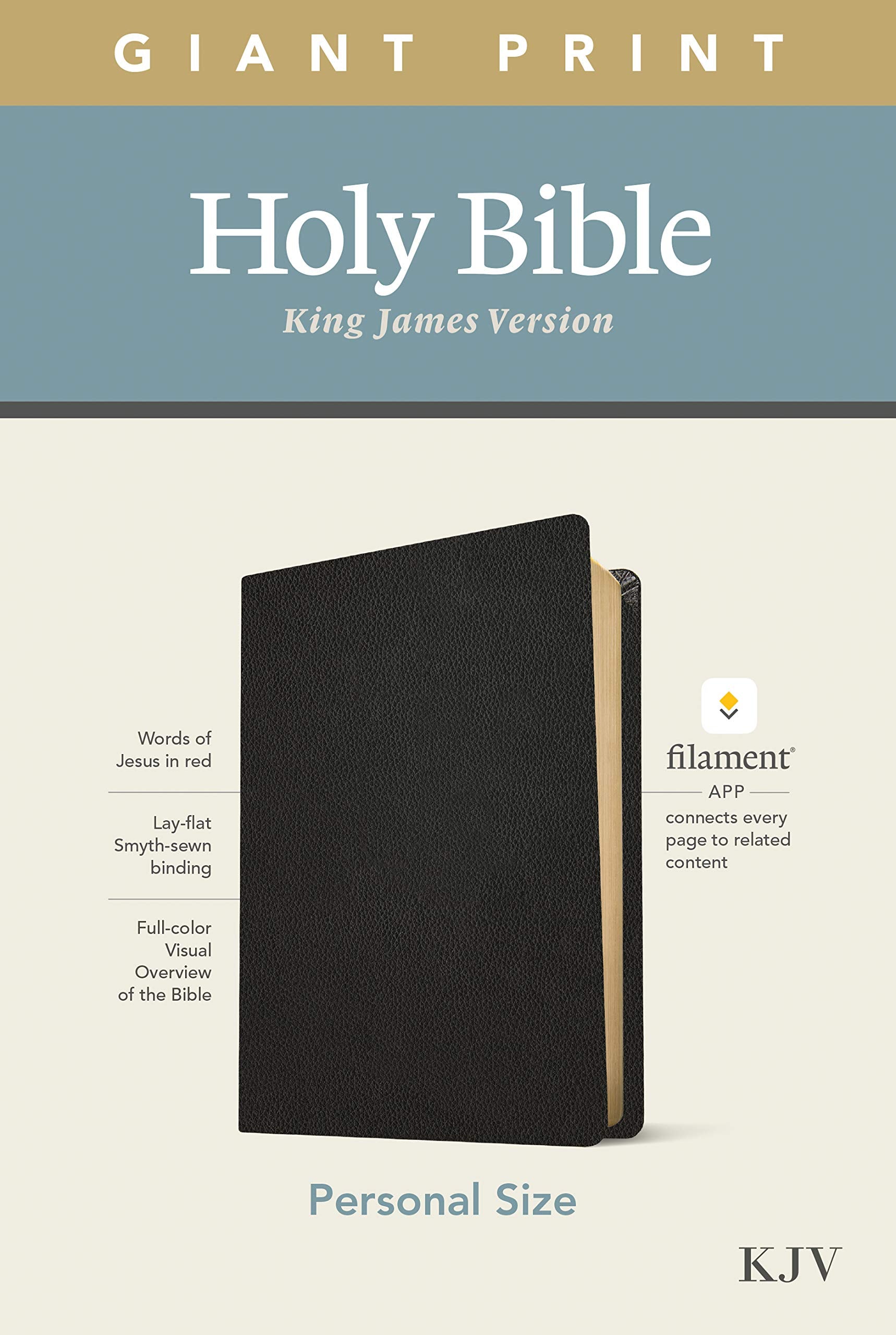 Holy Bible: King James Version, Black, Genuine Leather, Giant Print, Personal Size, Filament App Religion & Esotericism