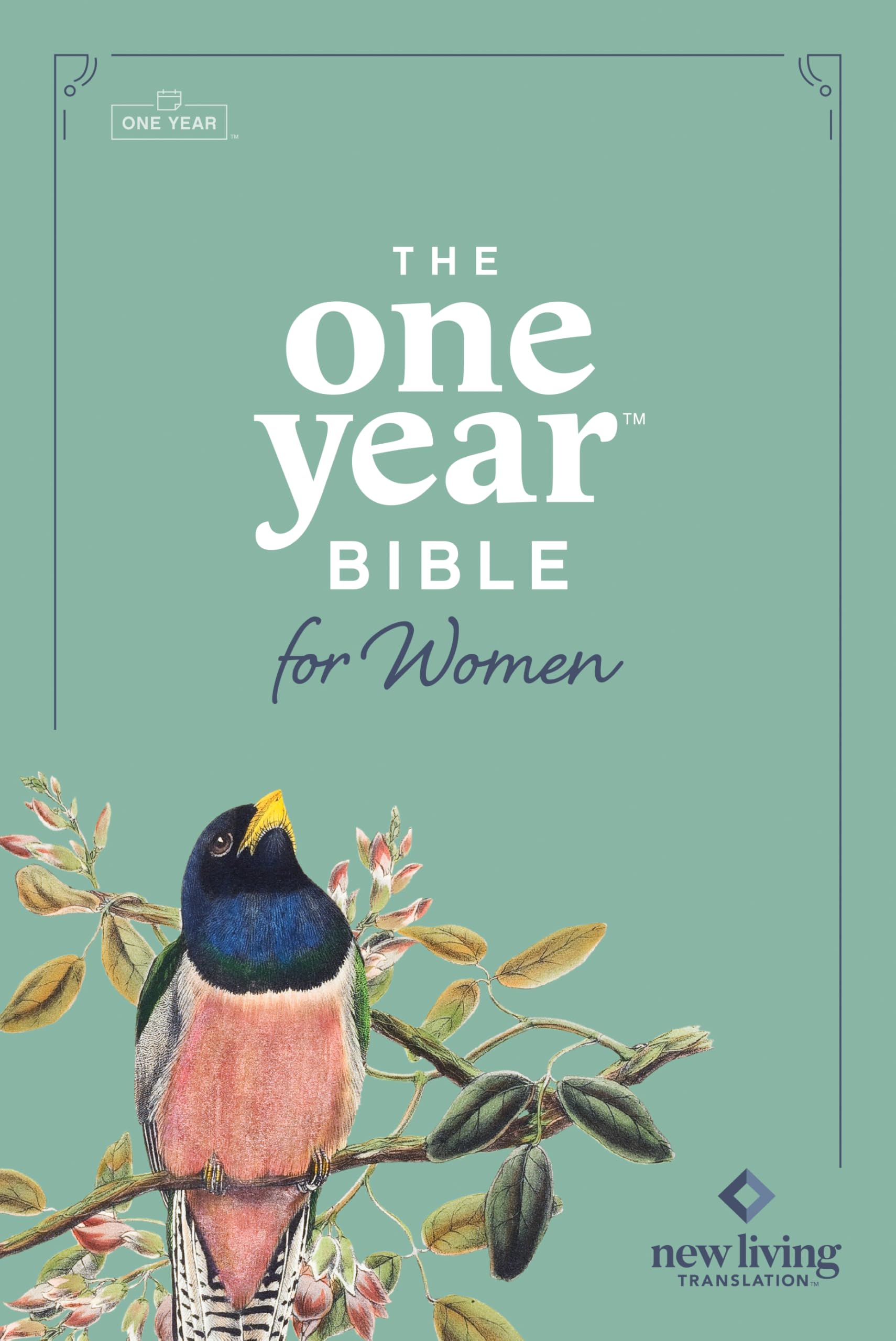 NLT the One Year Bible for Women (Hardcover) Religion & Esotericism