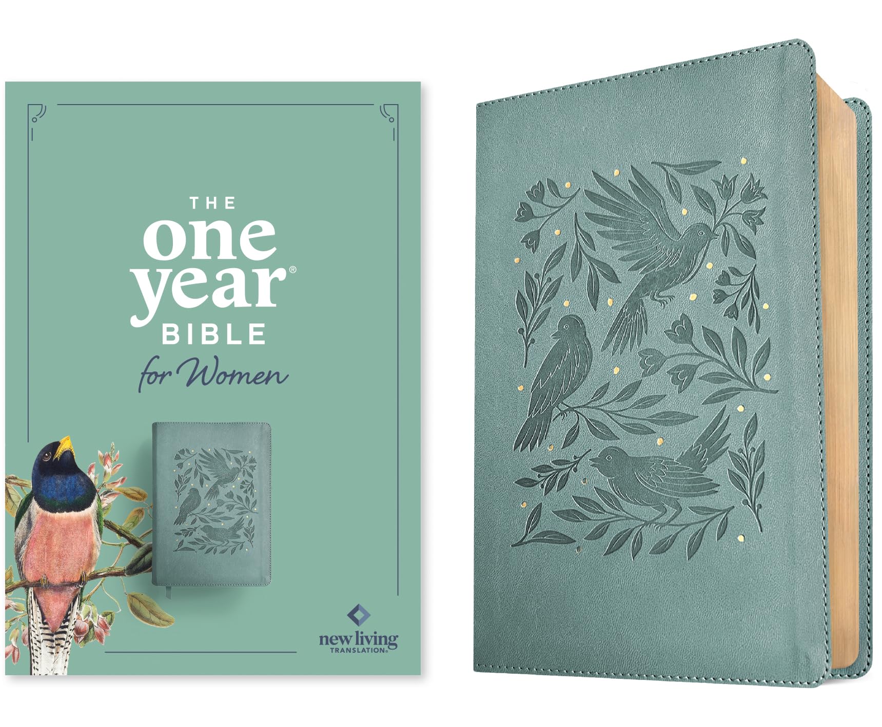 The One Year Bible for Women: Nlt, Leatherlike, Birdsong Teal Religion & Esotericism