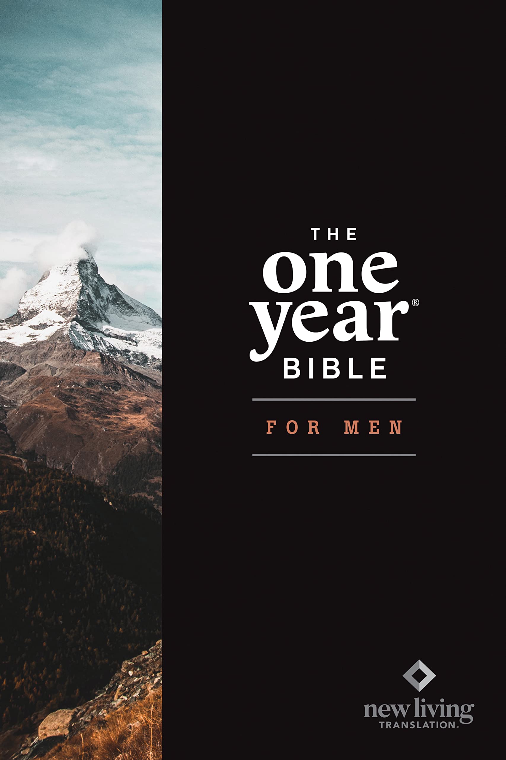 Holy Bible: Nlt the One Year Bible for Men Religion & Esotericism