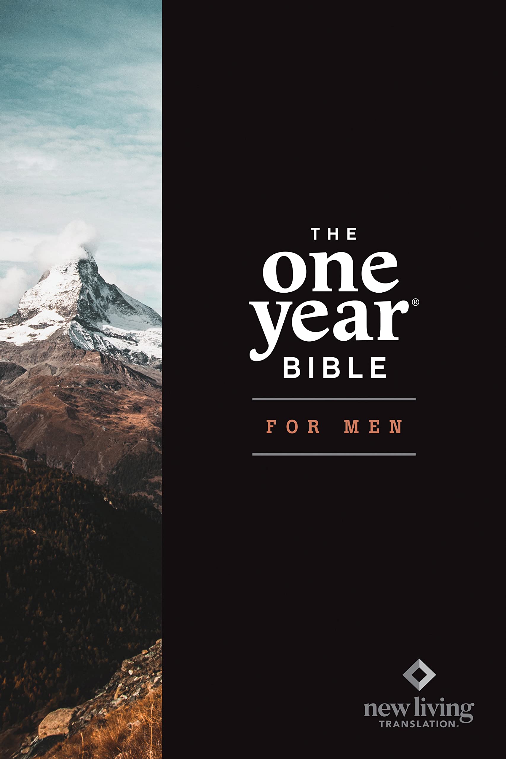 NLT the One Year Bible for Men (Softcover) Religion & Esotericism