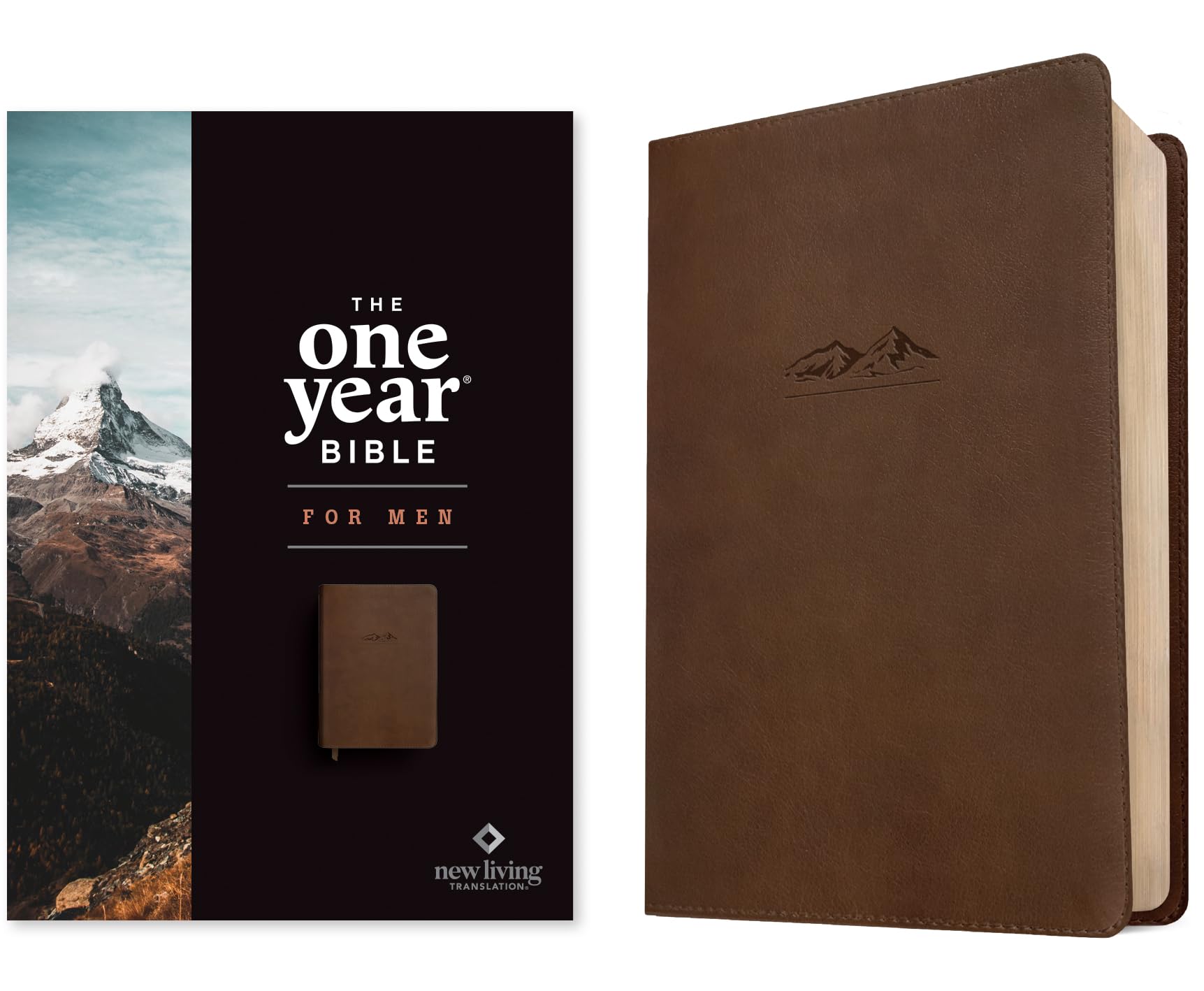 NLT the One Year Bible for Men (Leatherlike, Rustic Brown Mountain) Religion & Esotericism