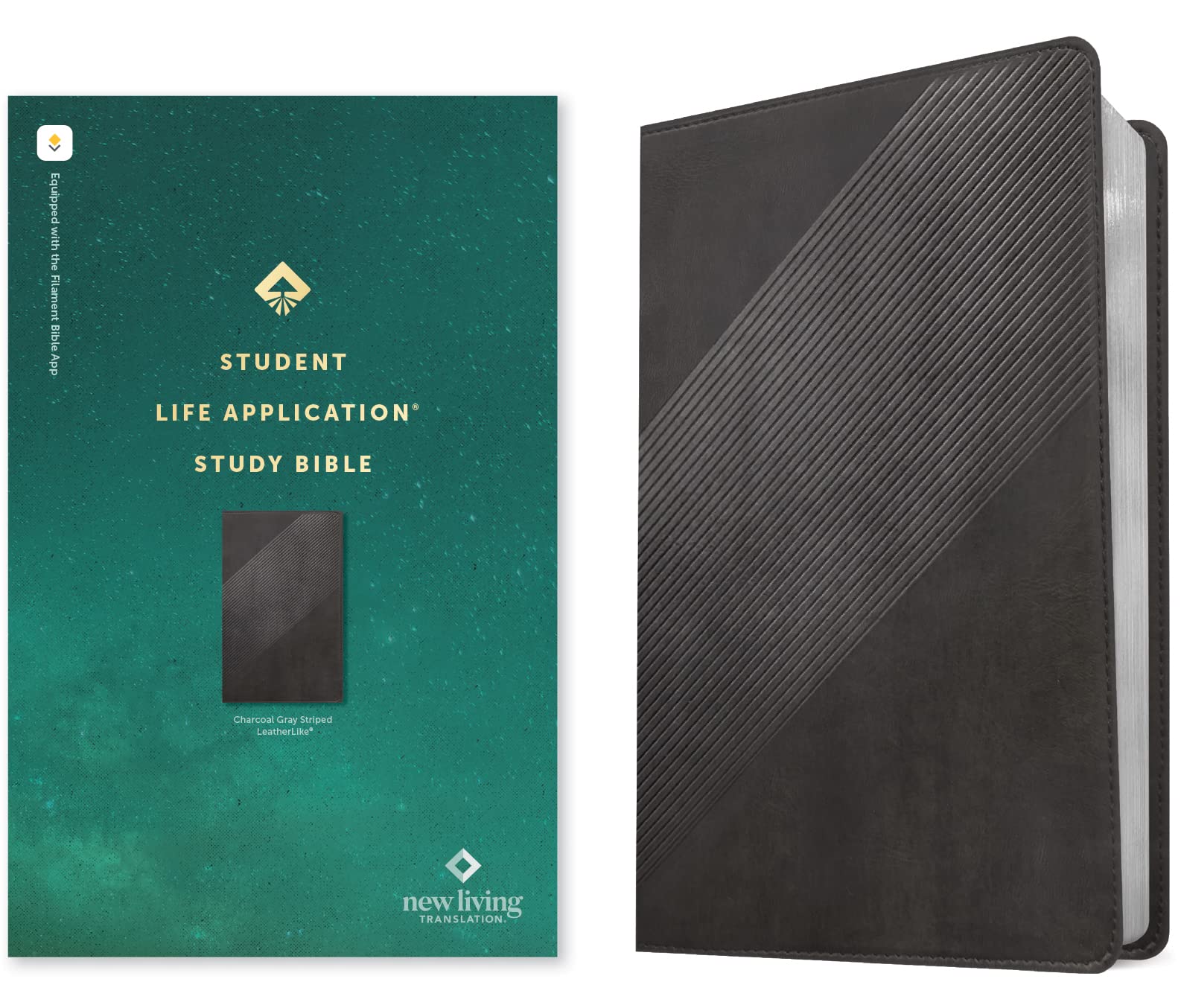 NLT Student Life Application Study Bible, Filament Enabled (Leatherlike, Charcoal Gray Striped, Red Letter) Religion & Esotericism