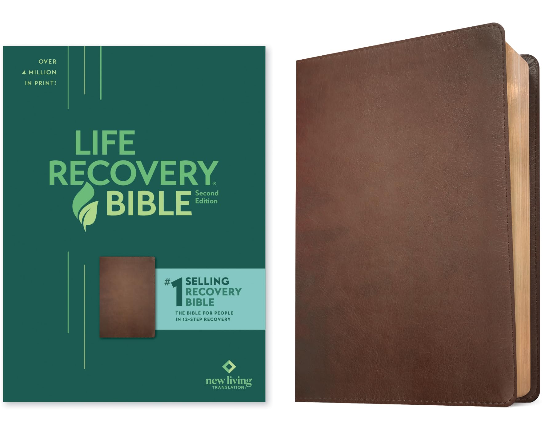 The Life Recovery Bible: New Living Translation, Rustic Brown, Leatherlike Religion & Esotericism