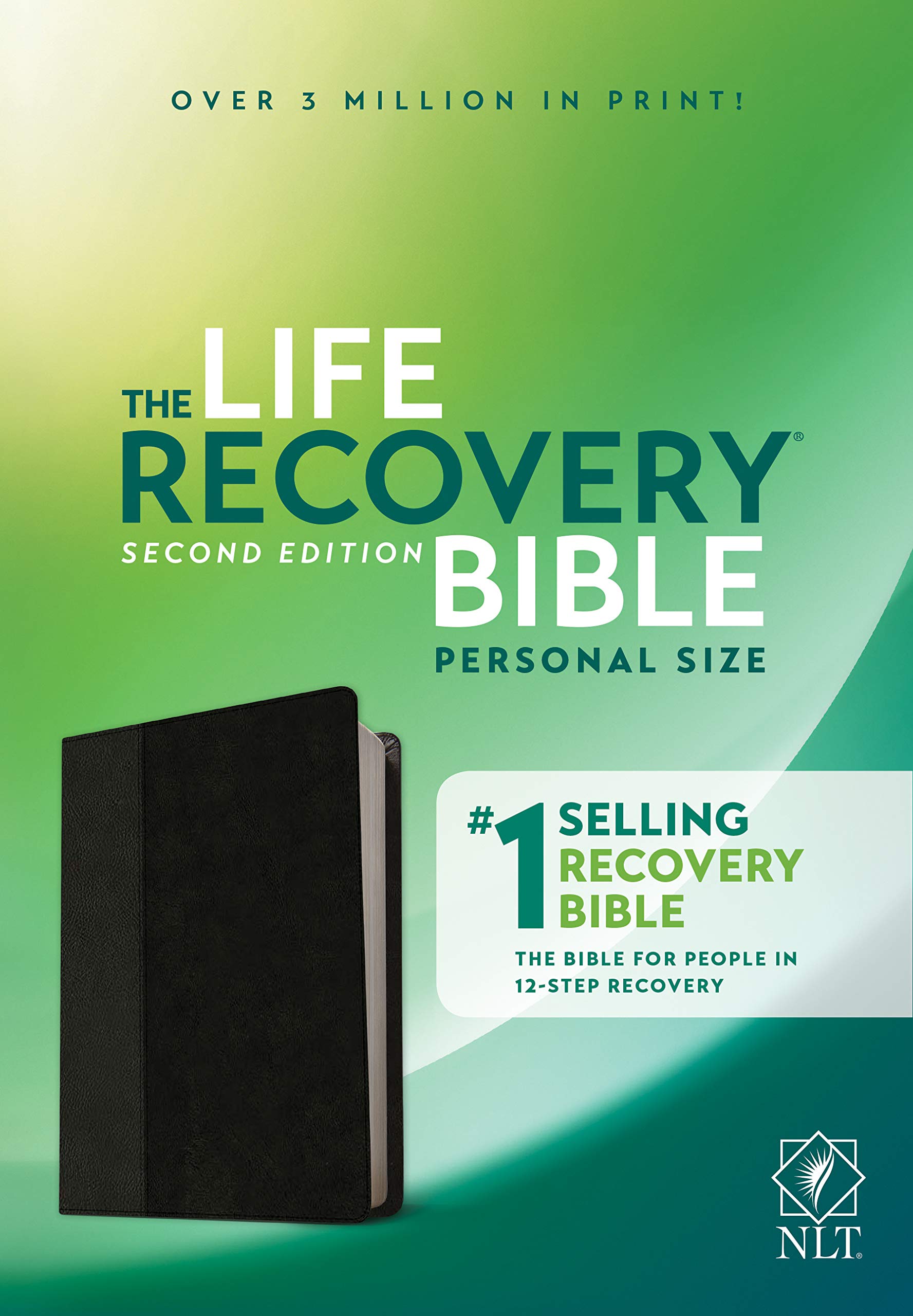 The Life Recovery Bible: NLT, Black & Onyx, Leatherlike Religion & Esotericism