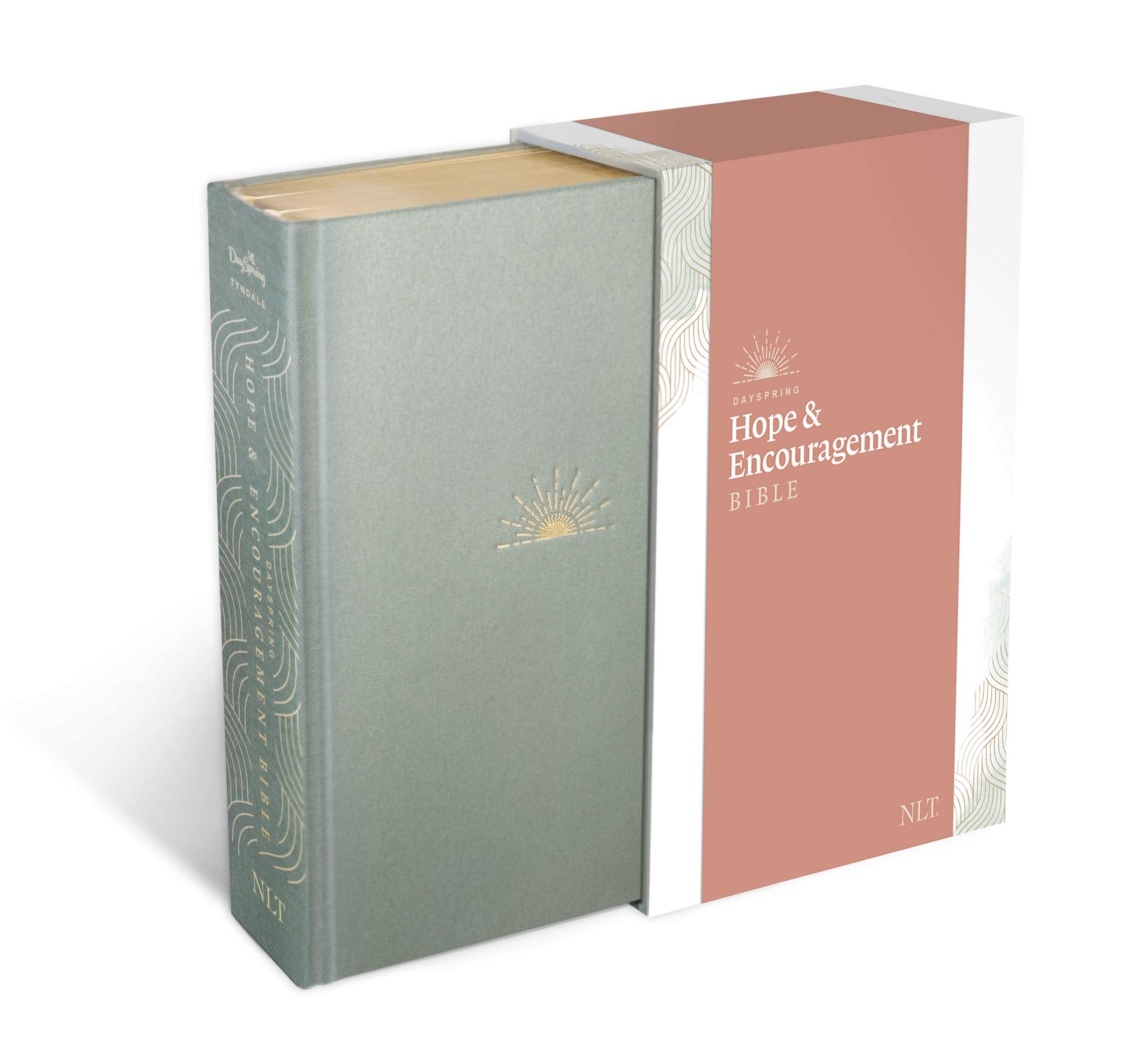 NLT Dayspring Hope & Encouragement Bible (Hardcover Deluxe, Seafoam Green) Religion & Esotericism