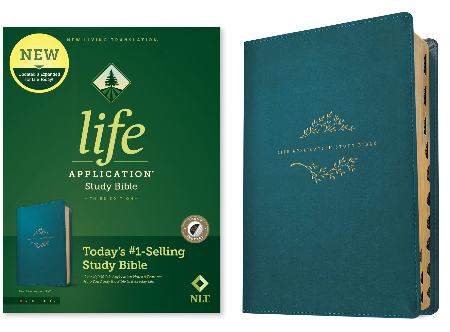 Life Application Study Bible: New Living Translation, Teal Blue Religion & Esotericism