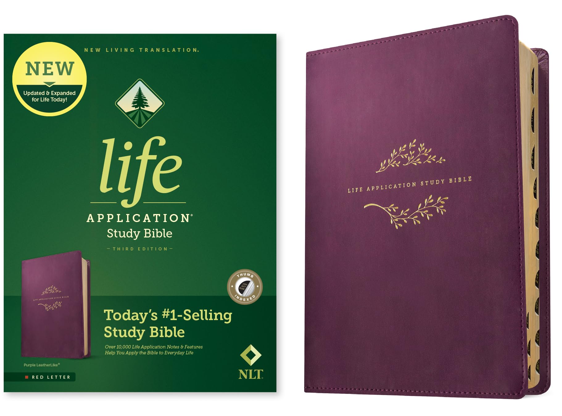 Life Application Study Bible: New Living Translation, Purple LeatherLike Religion & Esotericism