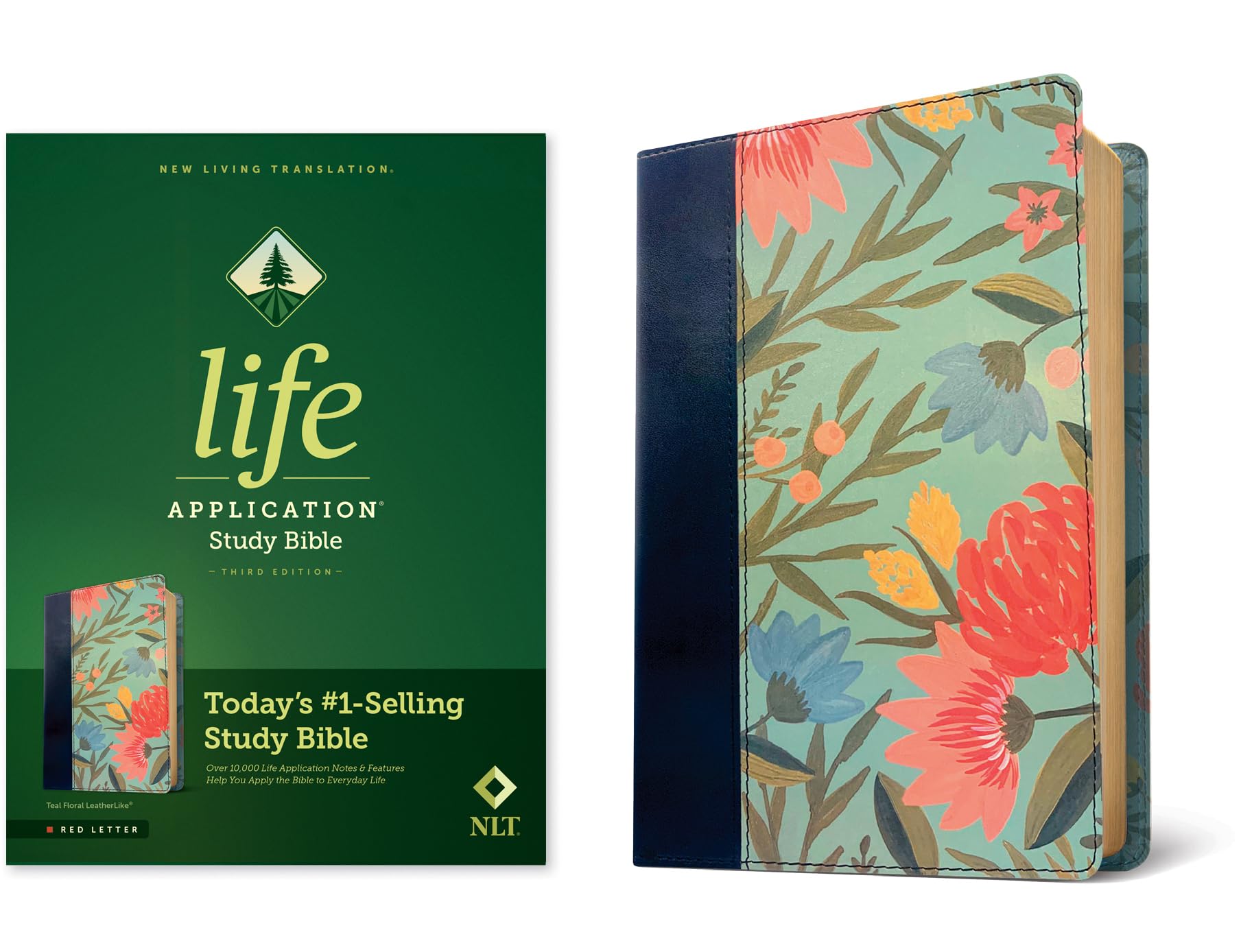 Life Application Study Bible: New Living Translation, Teal Floral, Leatherlike Religion & Esotericism