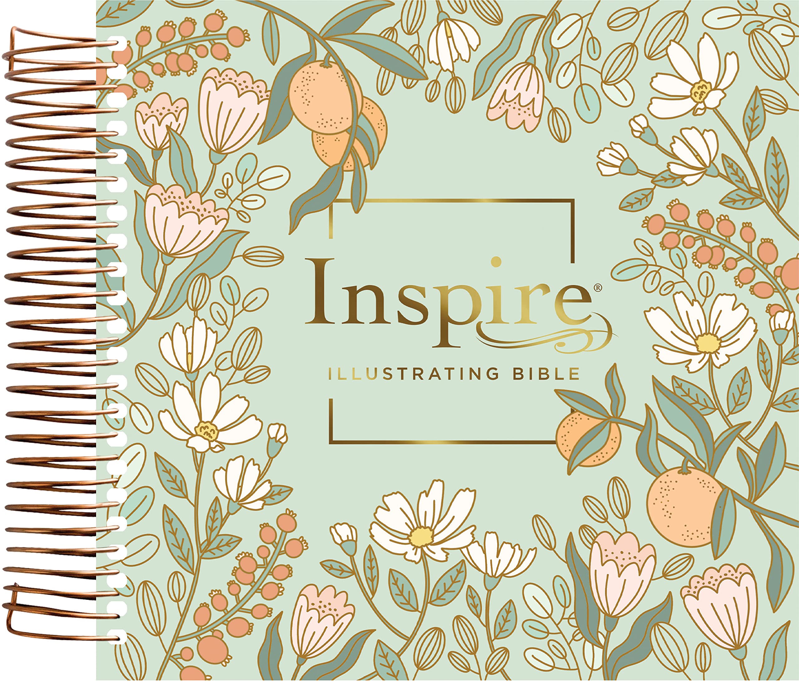 Dayspring Inspire Illustrating Bible: New Living Translation, Mint Floral Garden, Filament Coloring Journal Bible Religion & Esotericism