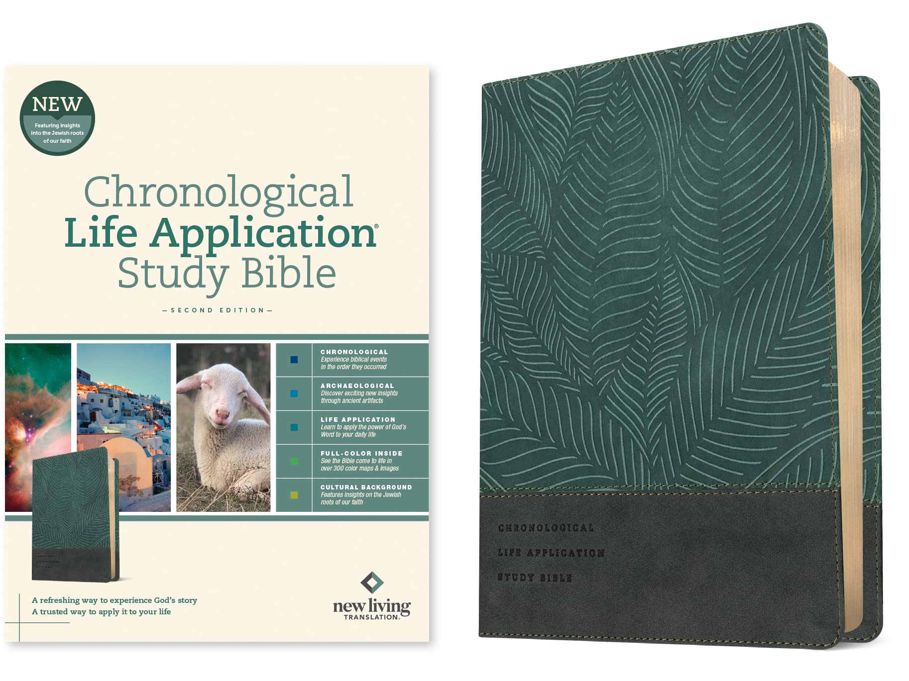 Chronological Life Application Study Bible: New Living Translation, Chronological Life Application Study, Palm Forest Teal, Leatherlike, Full-Color, Archaeological, Cultural Background Religion & Esotericism