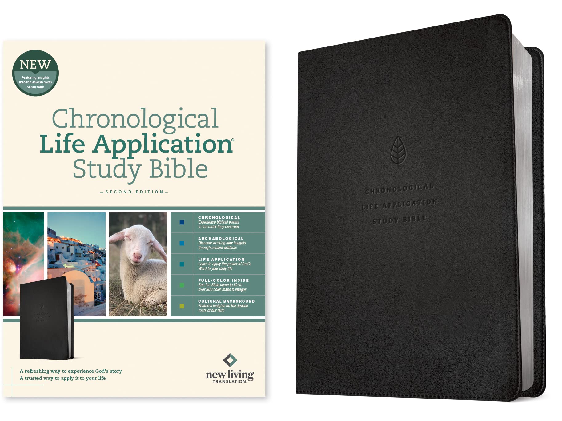 Chronological Life Application Study Bible: New Living Translation, Chronological Life Application Study, Ebony Leaf, Leatherlike, Archaeological, Full-Color, Cultural Background Religion & Esotericism