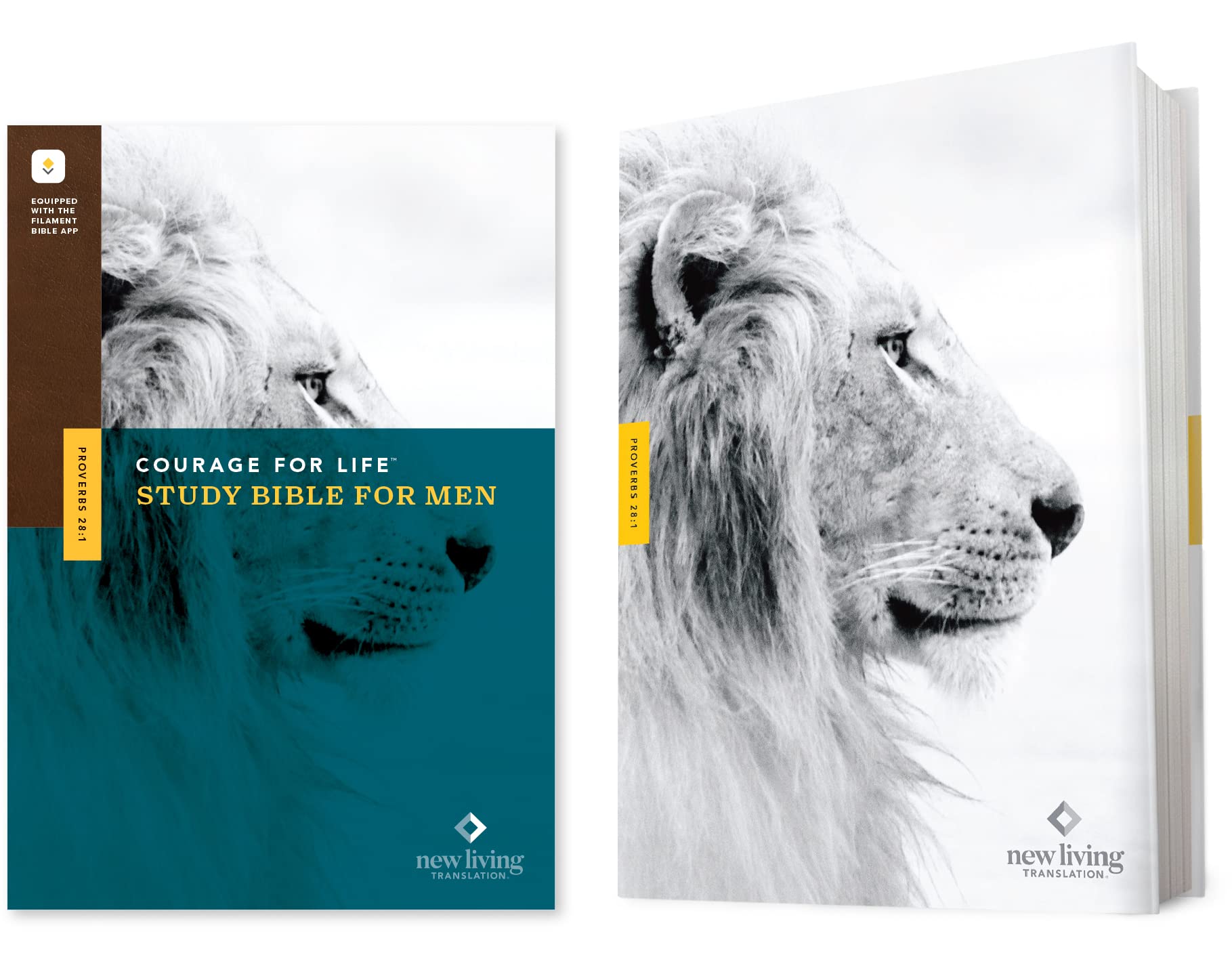 Courage for Life Study Bible for Men: New Living Translation, Filament Religion & Esotericism