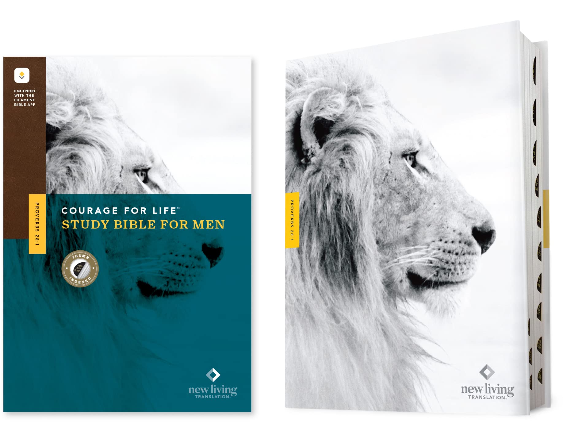 Courage for Life Study Bible for Men: New Living Translation, Filament Enabled Religion & Esotericism