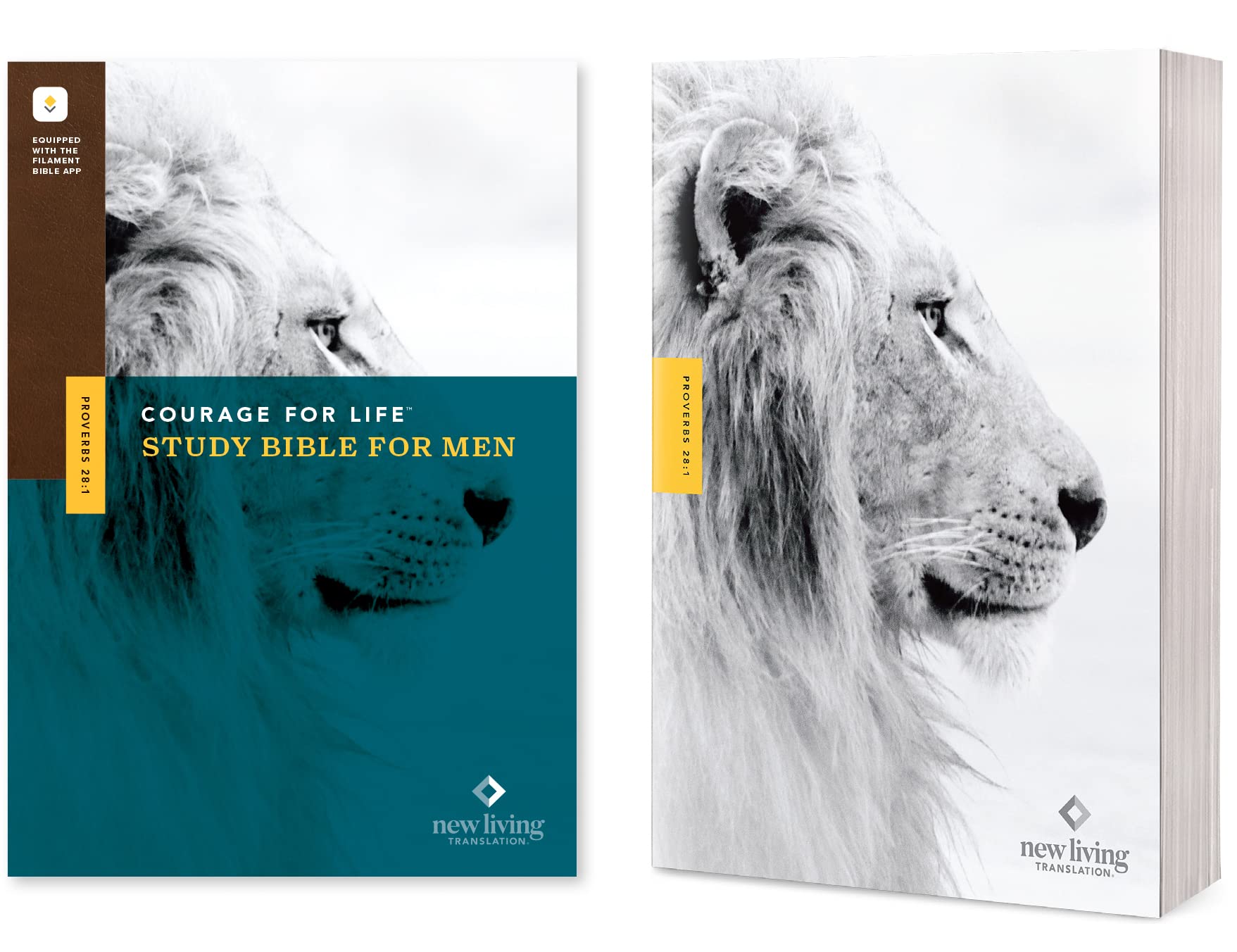 Courage for Life Study Bible for Men: New Living Translation, Filament Religion & Esotericism