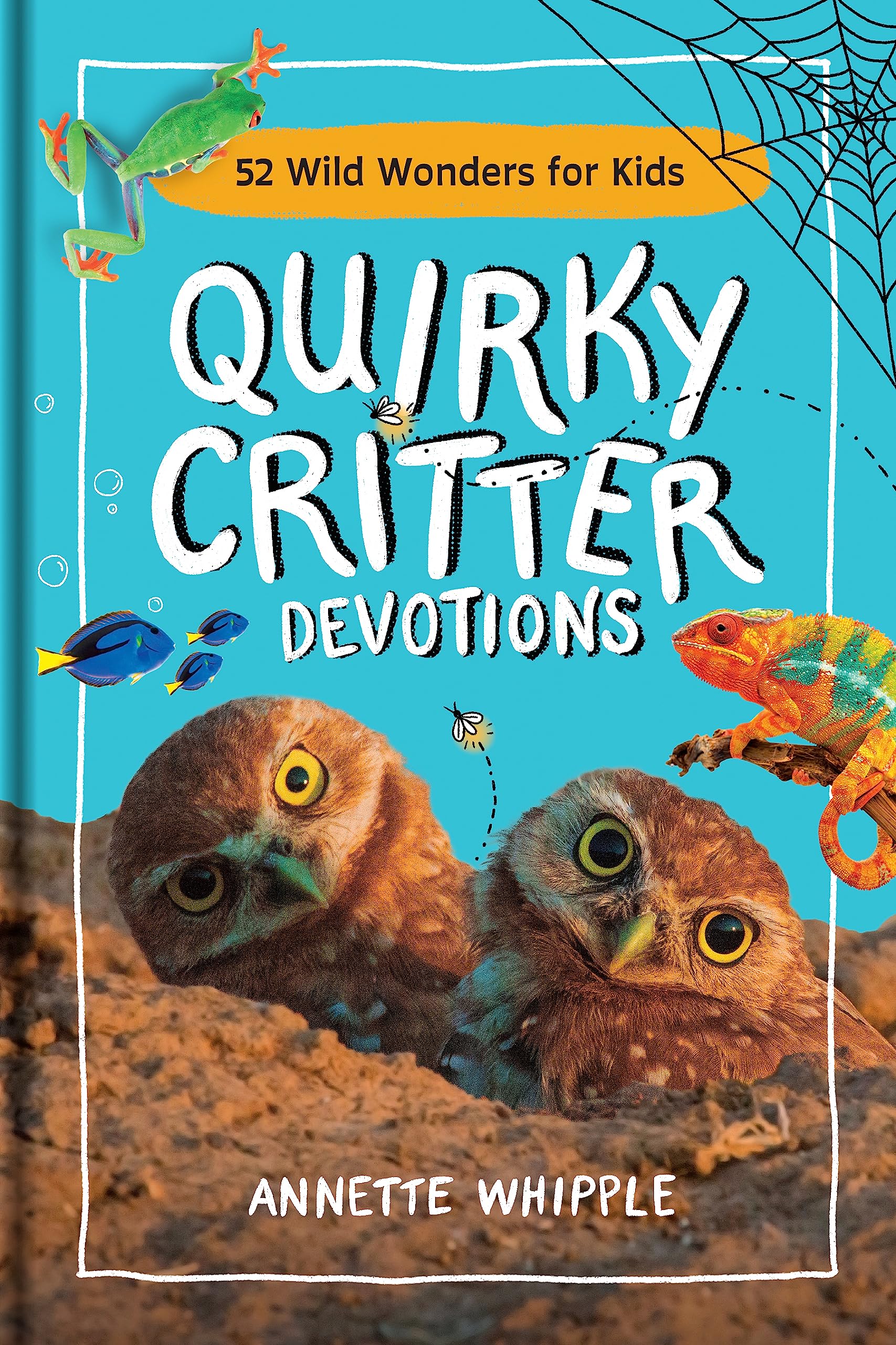 Quirky Critter Devotions Religion & Esotericism