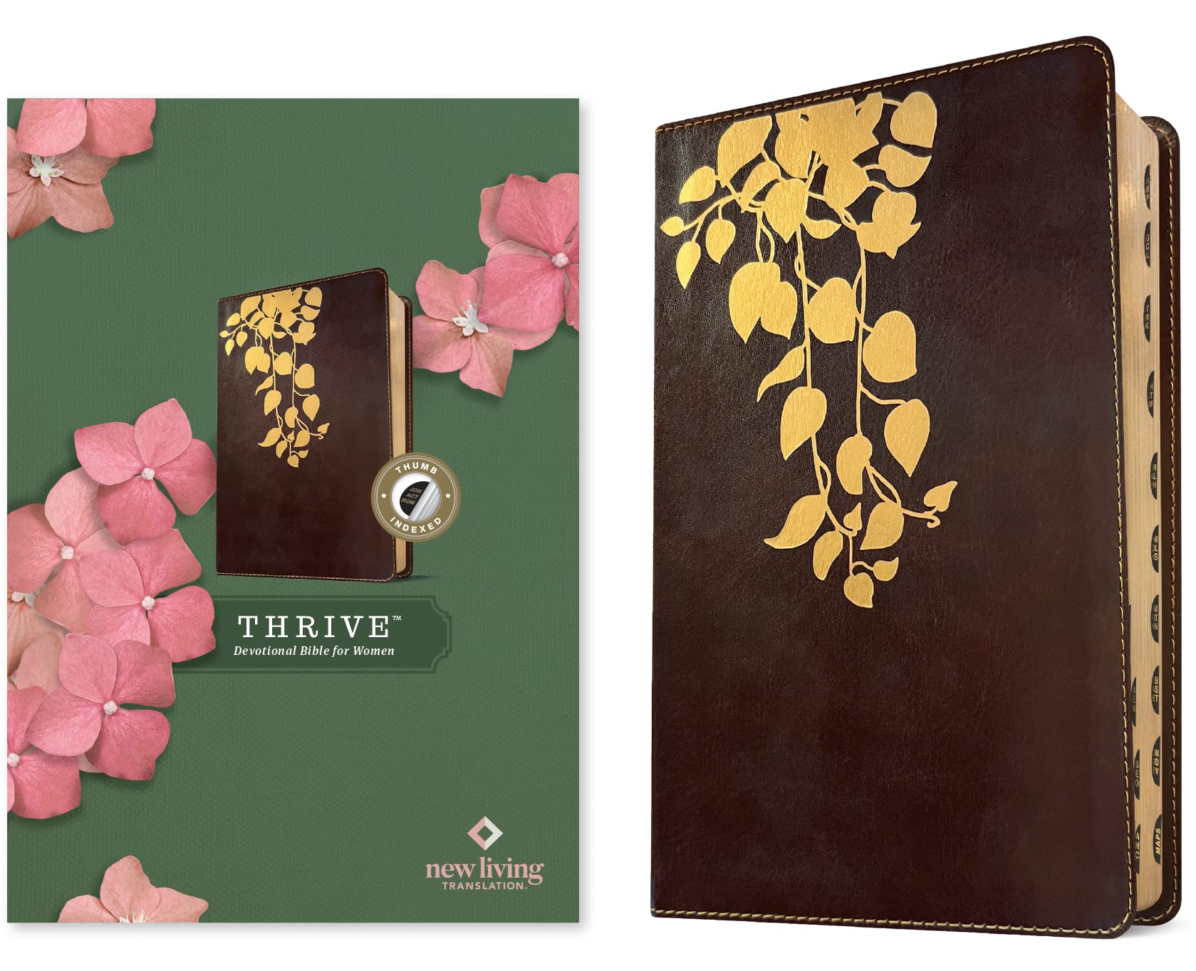 Holy Bible: New Living Translation, Cascade Deep Brown: Thrive Devotional Bible for Women Religion & Esotericism