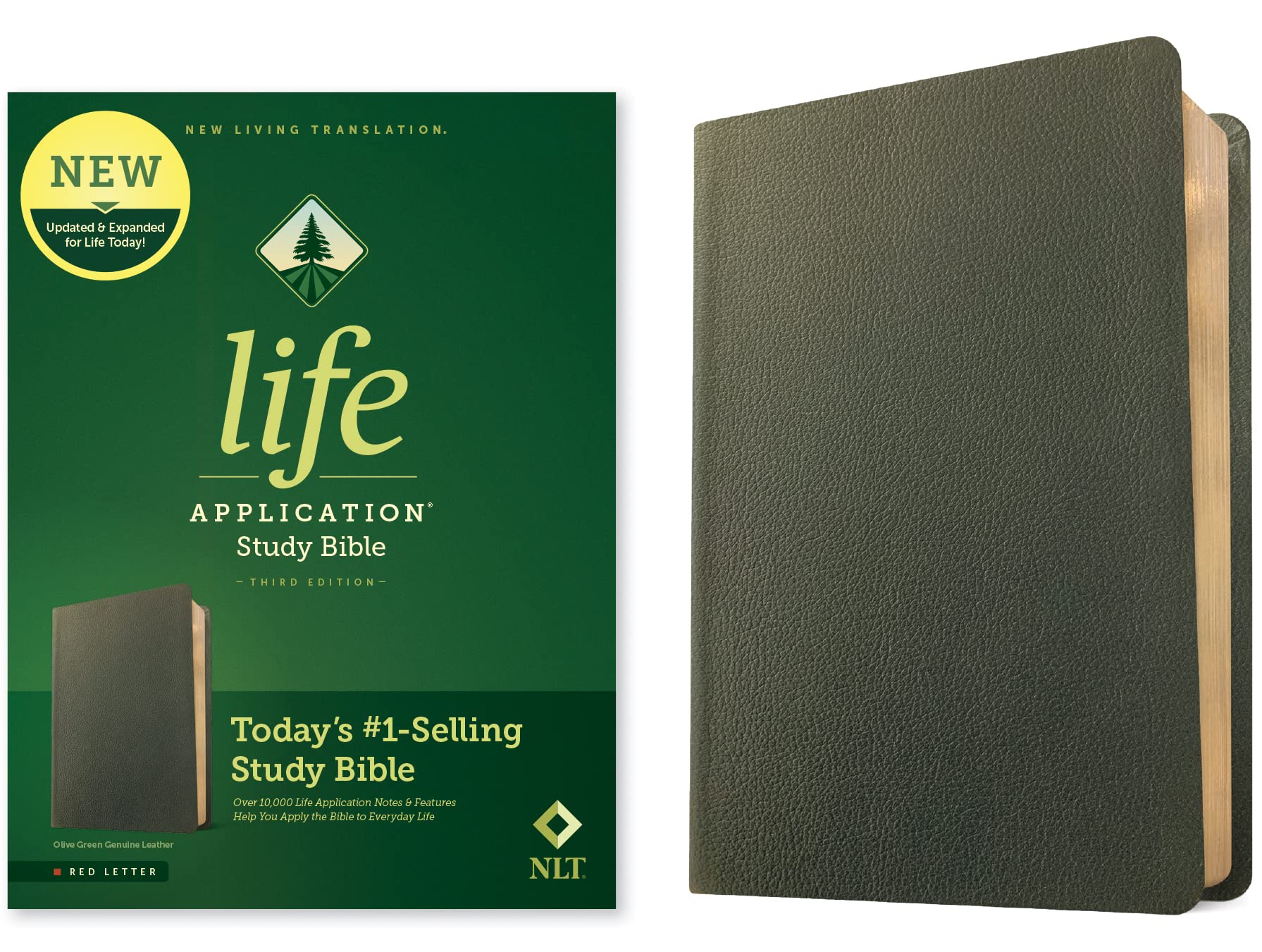 Holy Bible: Nlt Life Application Study Bible - Red Letter, Genuine Leather, Olive Green Religion & Esotericism