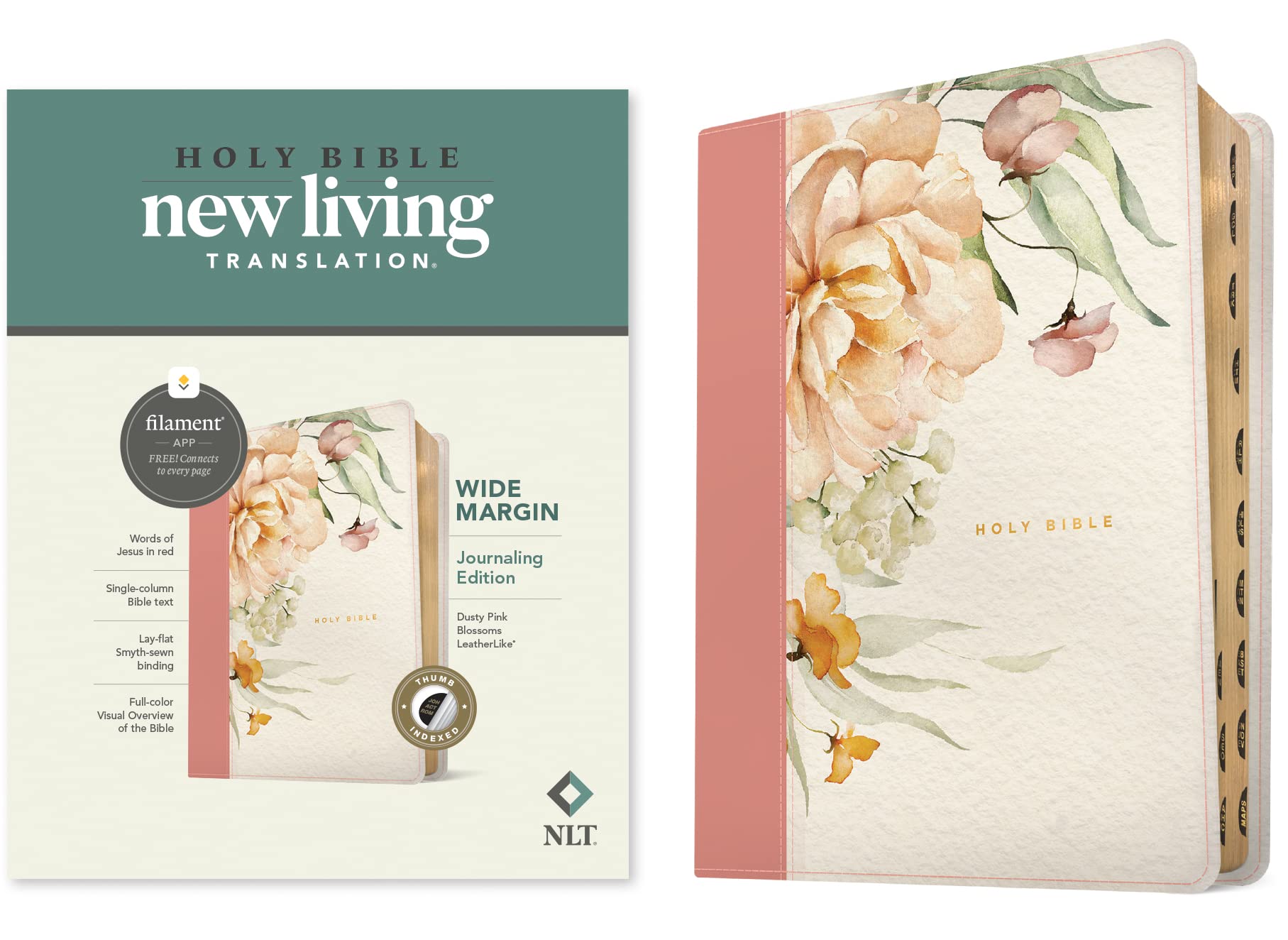 Holy Bible: New Living Translation, Dusty Pink Blossoms, Filament, Wide Margin Bible Religion & Esotericism