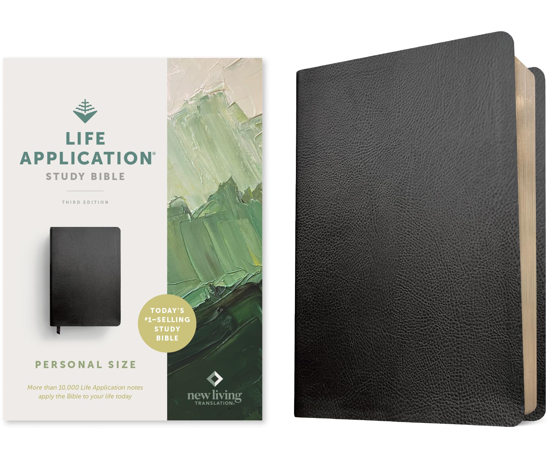 Holy Bible: New Living Translation, Black, Bonded Leather, Life Application Study, Personal Size, Red Letter Religion & Esotericism