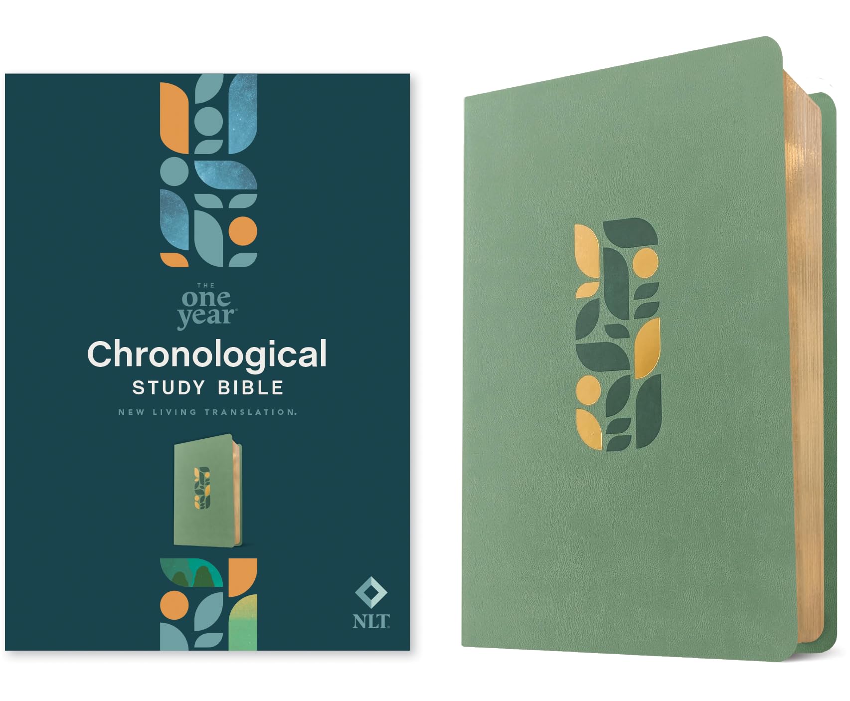 NLT One Year Chronological Study Bible (Leatherlike, Sage Green Mosaic) Religion & Esotericism