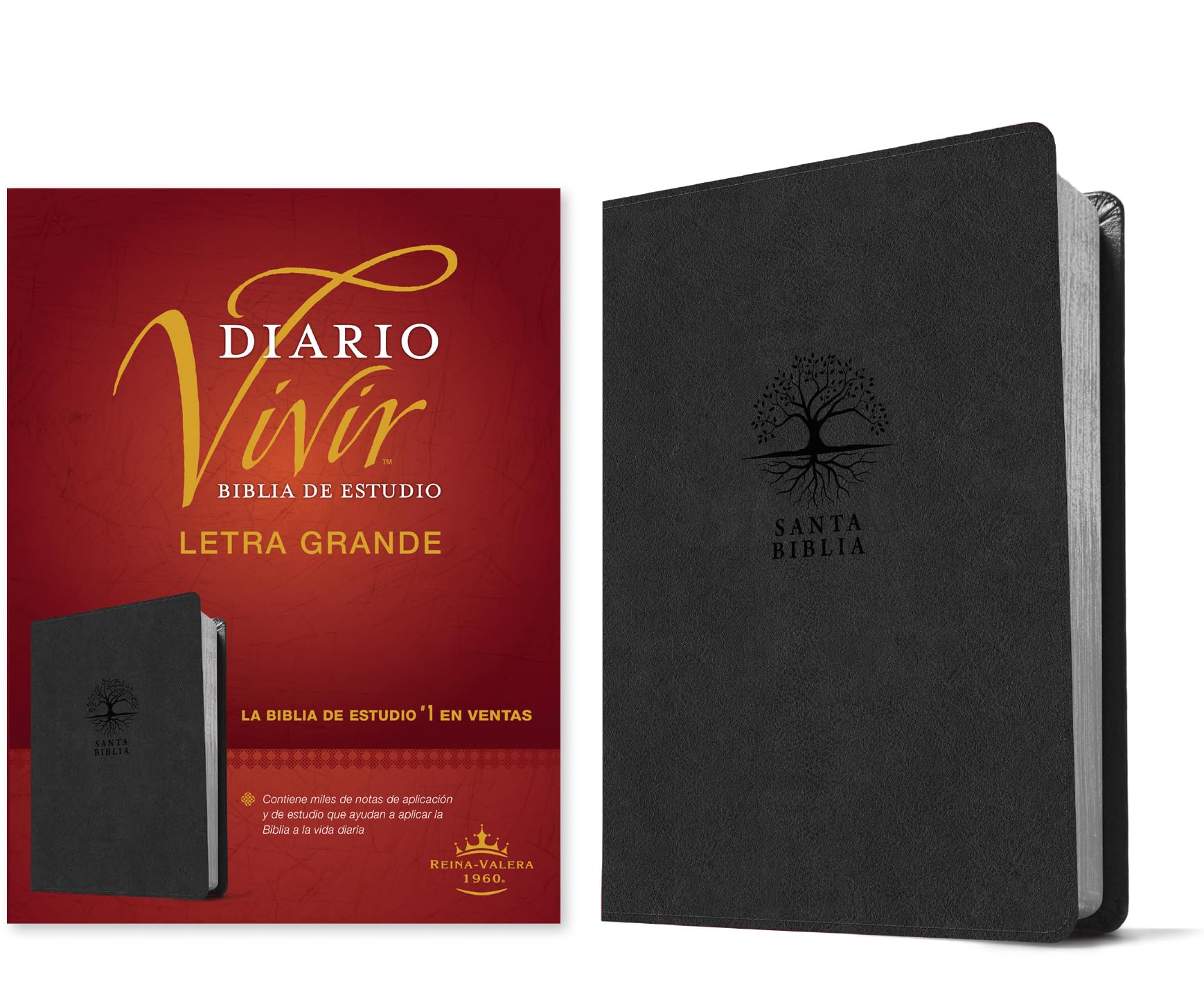 Santa Biblia: Reina-Valera 1960, Biblia de estudio del diario vivir, carbón, SentiPiel, letra roja Religion & Esotericism