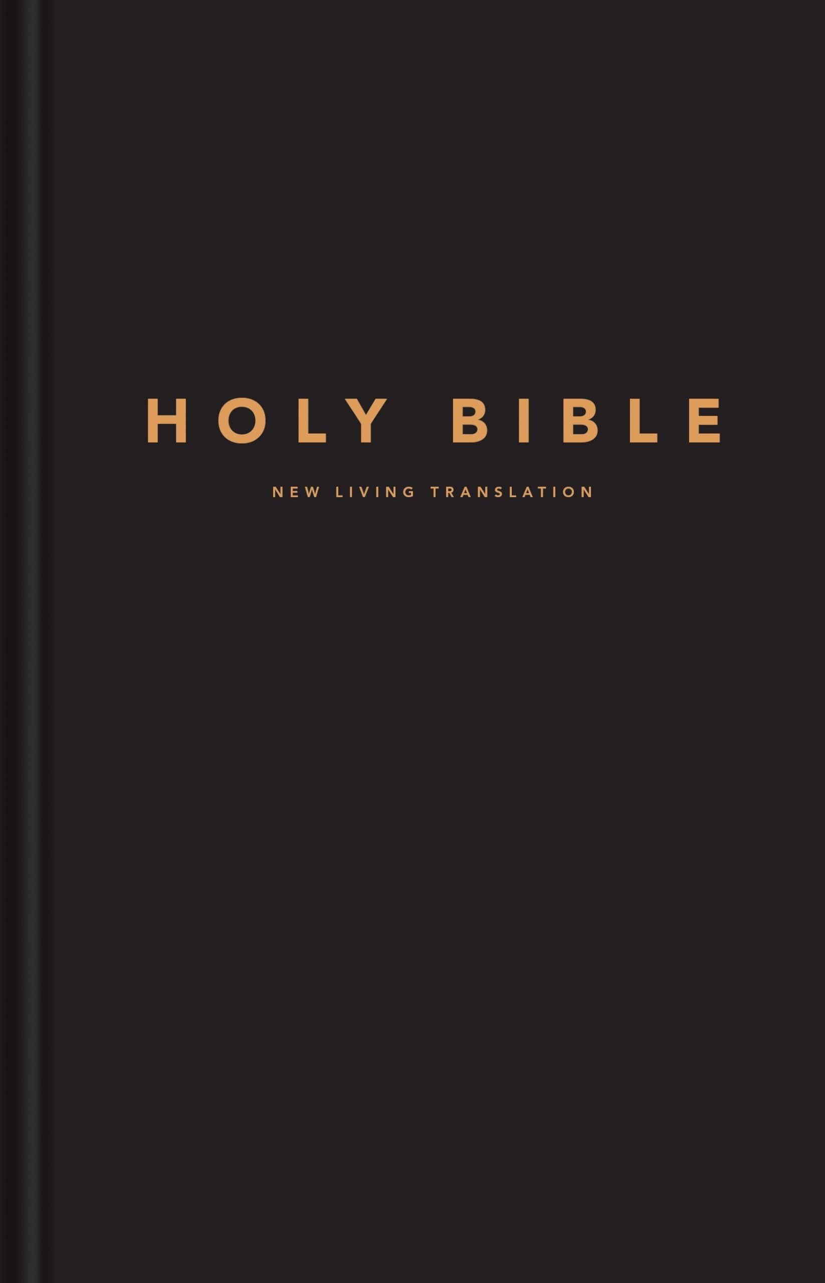Holy Bible: New Living Translation, Black, Pew, Large Print Religion & Esotericism