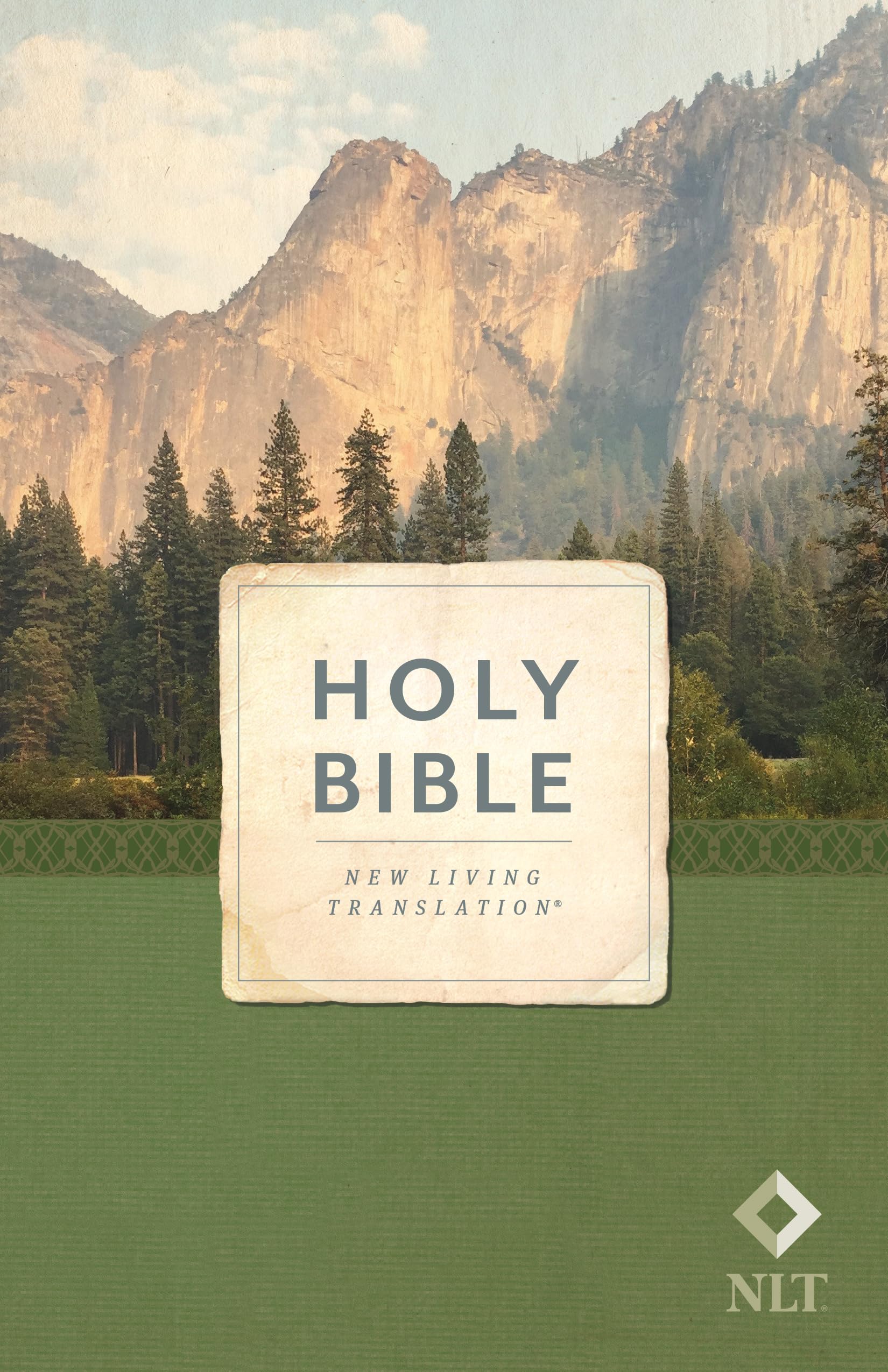 Holy Bible: Economy Outreach Edition, Nlt book