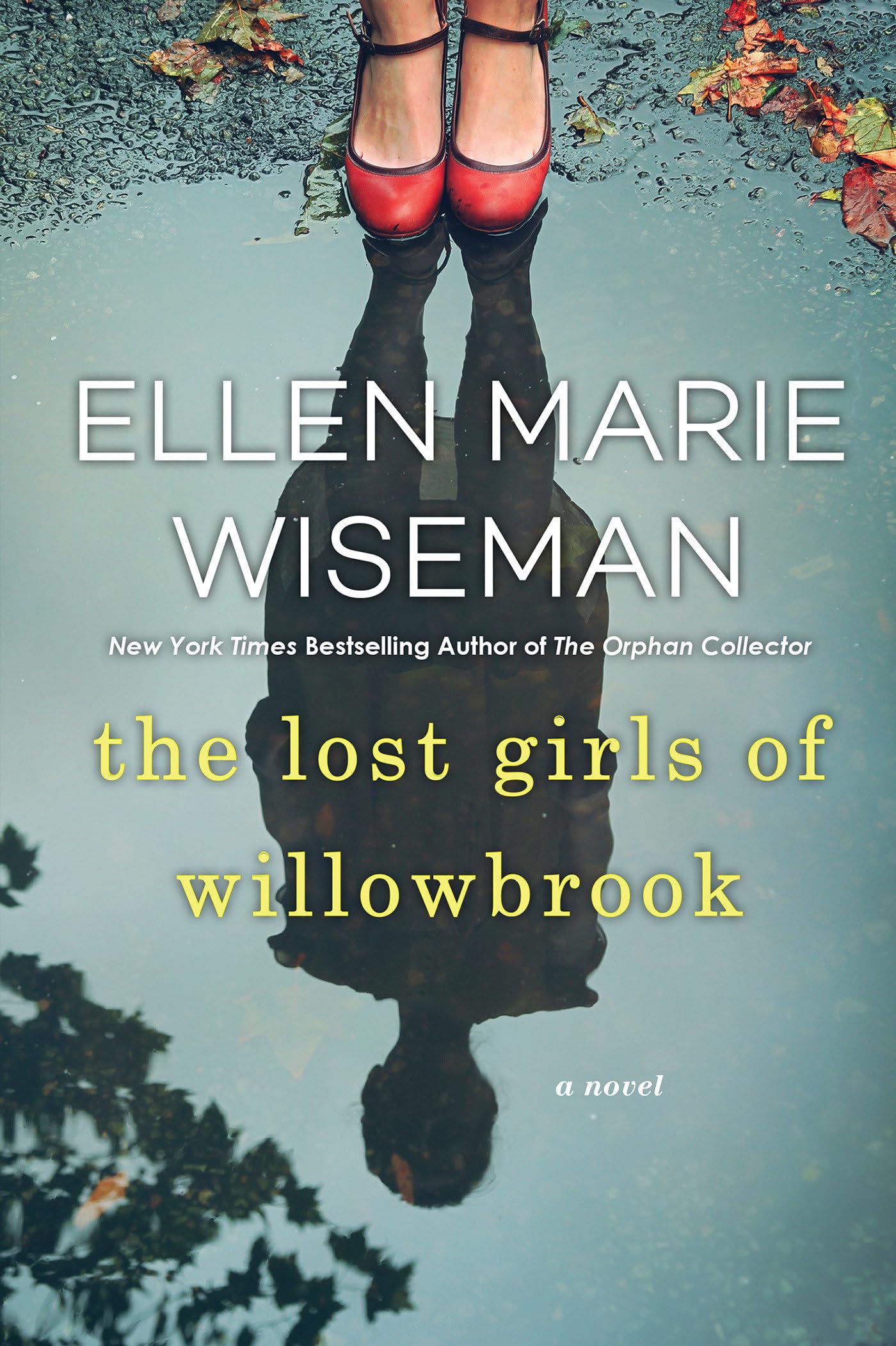 The Lost Girls of Willowbrook Contemporary literature