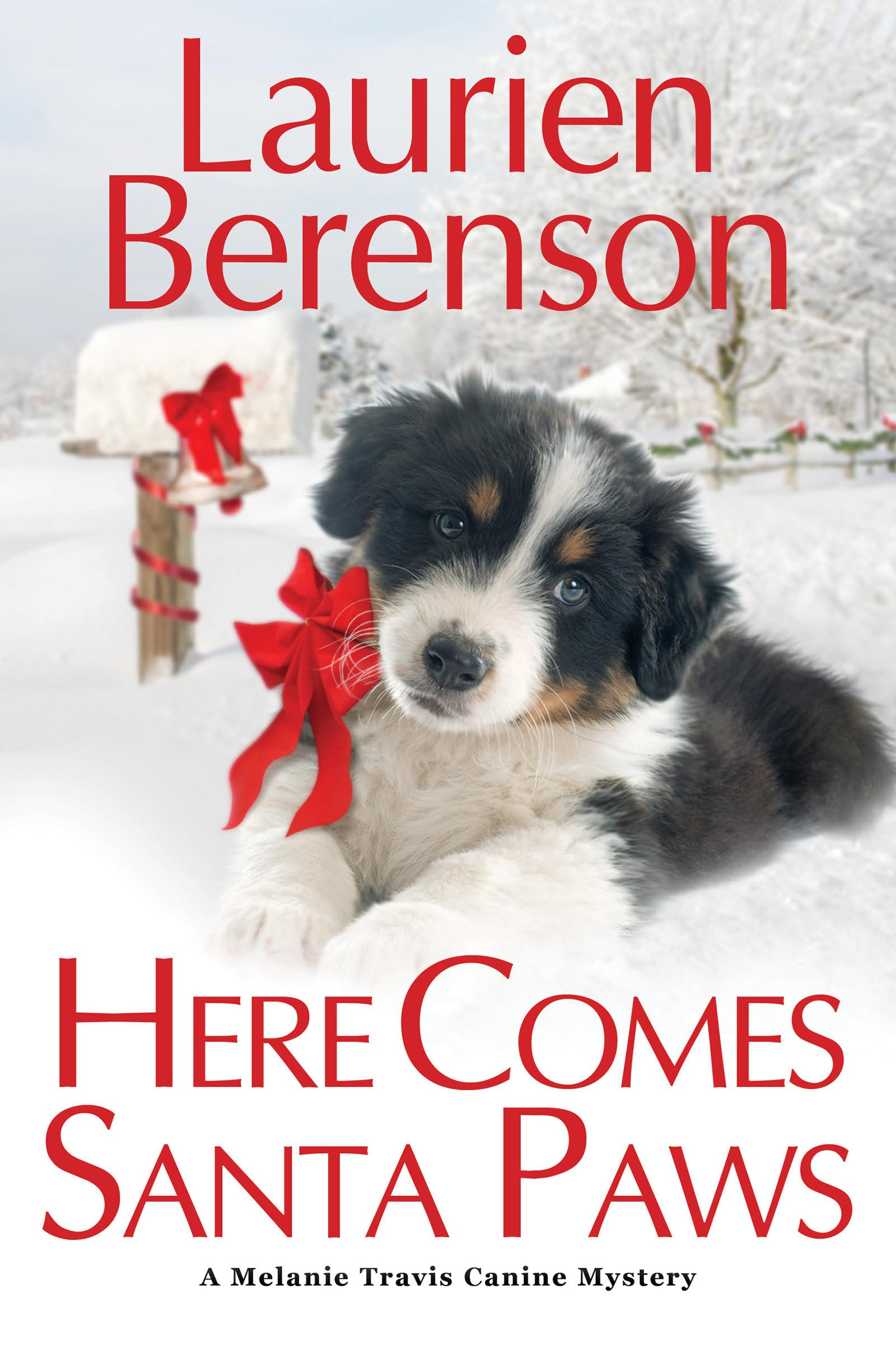 Here Comes Santa Paws Contemporary literature Books