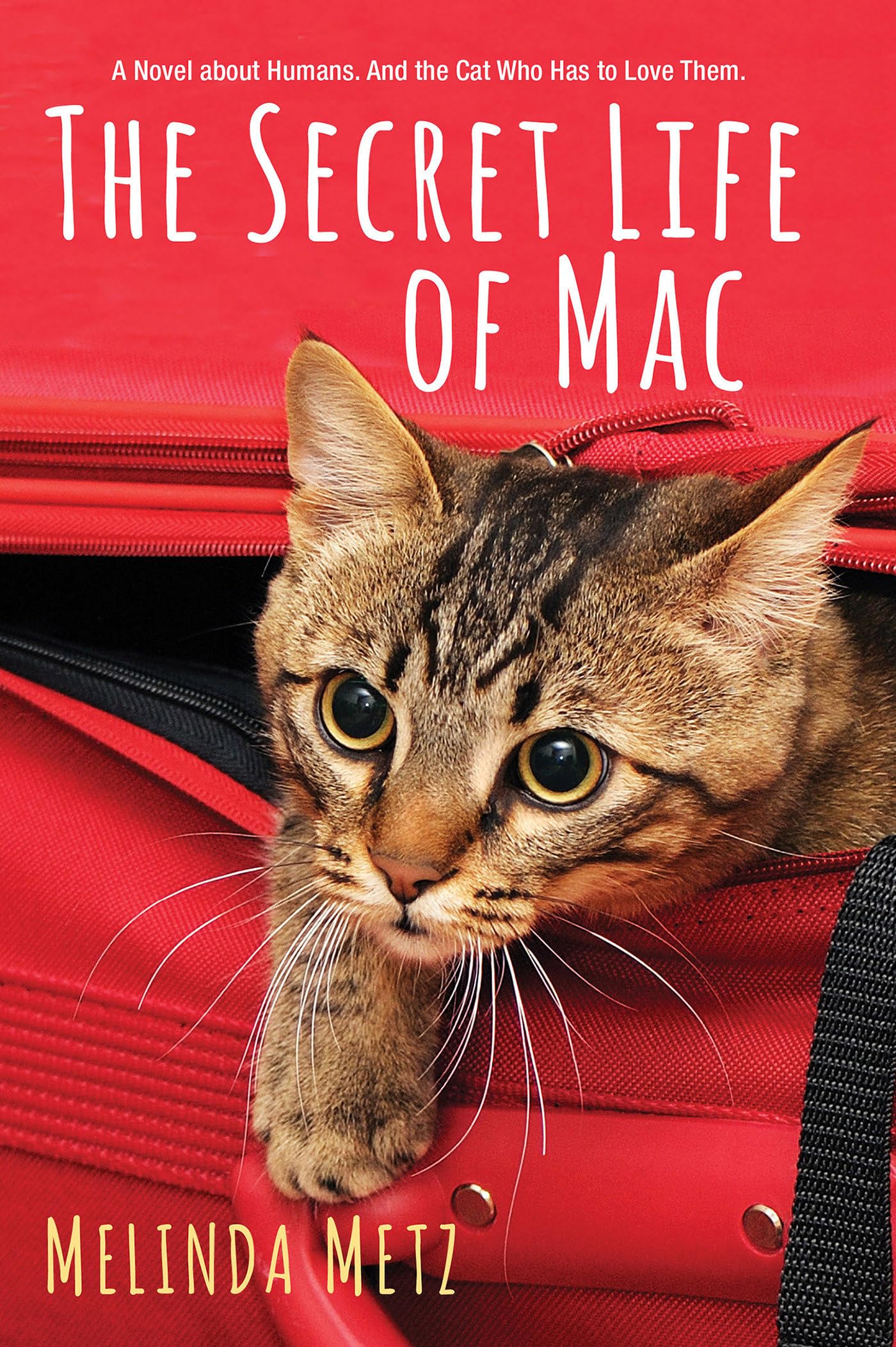 The Secret Life of Mac Contemporary literature