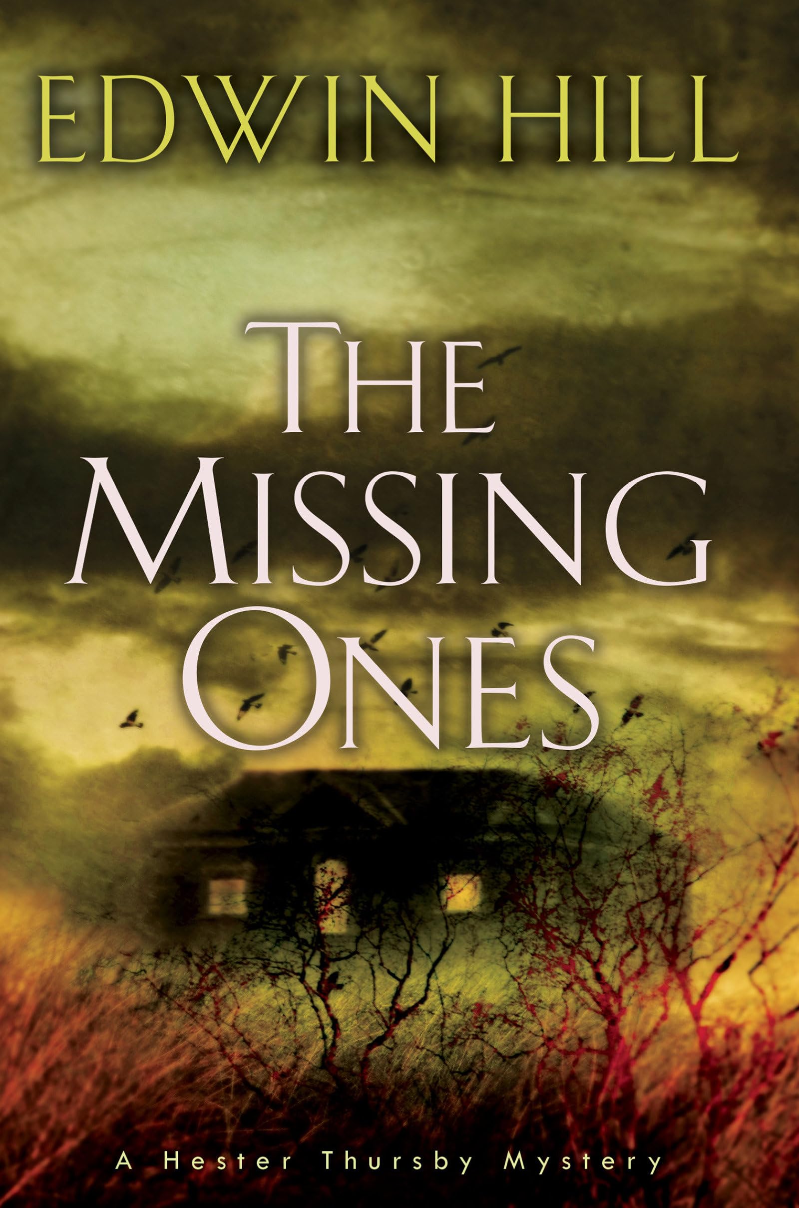 Product Image: The Missing Ones (A Hester Thursby Mystery, Band 2)