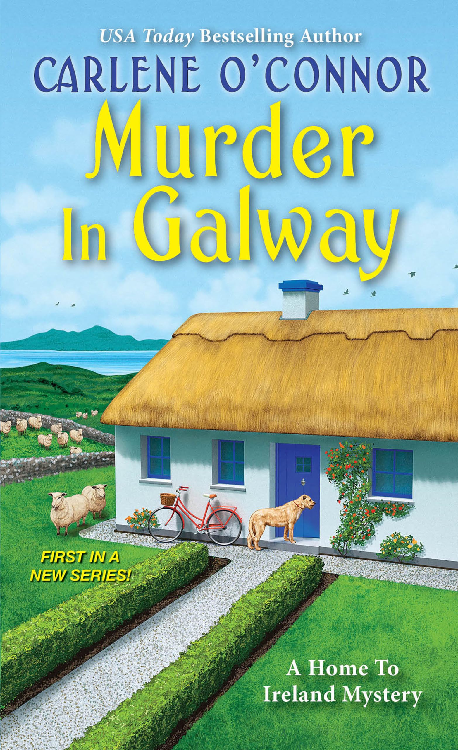 Product Image: Murder in Galway