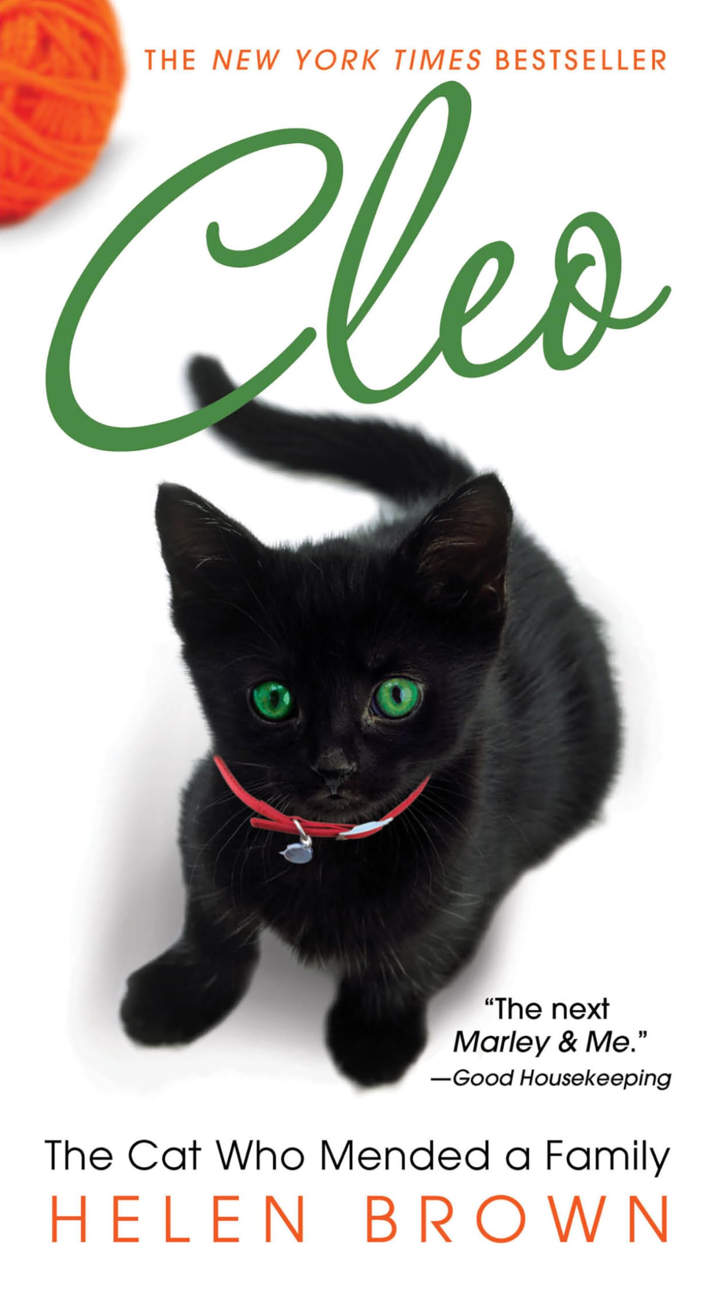 Cleo: The Cat Who Mended a Family Art & Literature