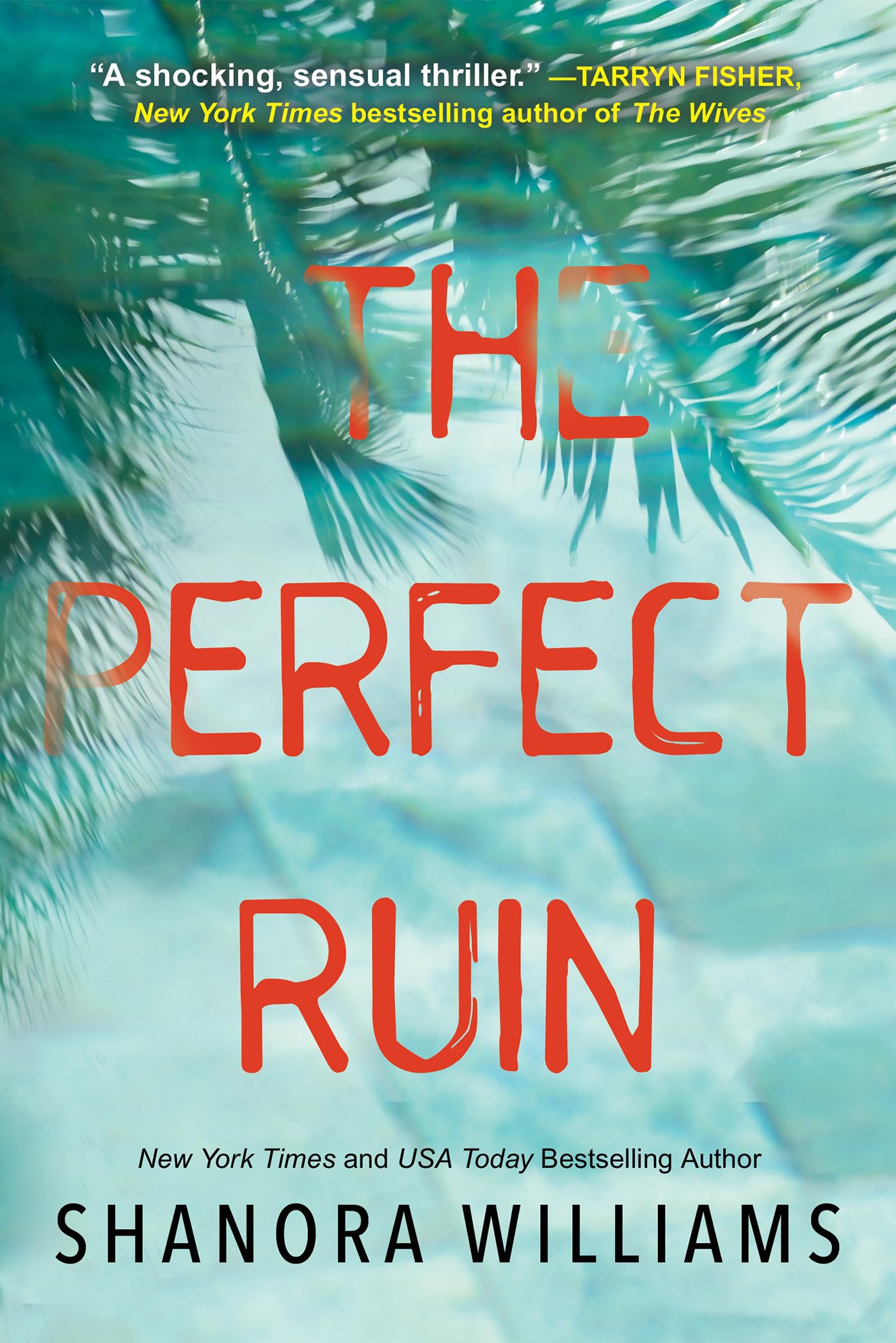 The Perfect Ruin: A Riveting New Psychological Thriller book