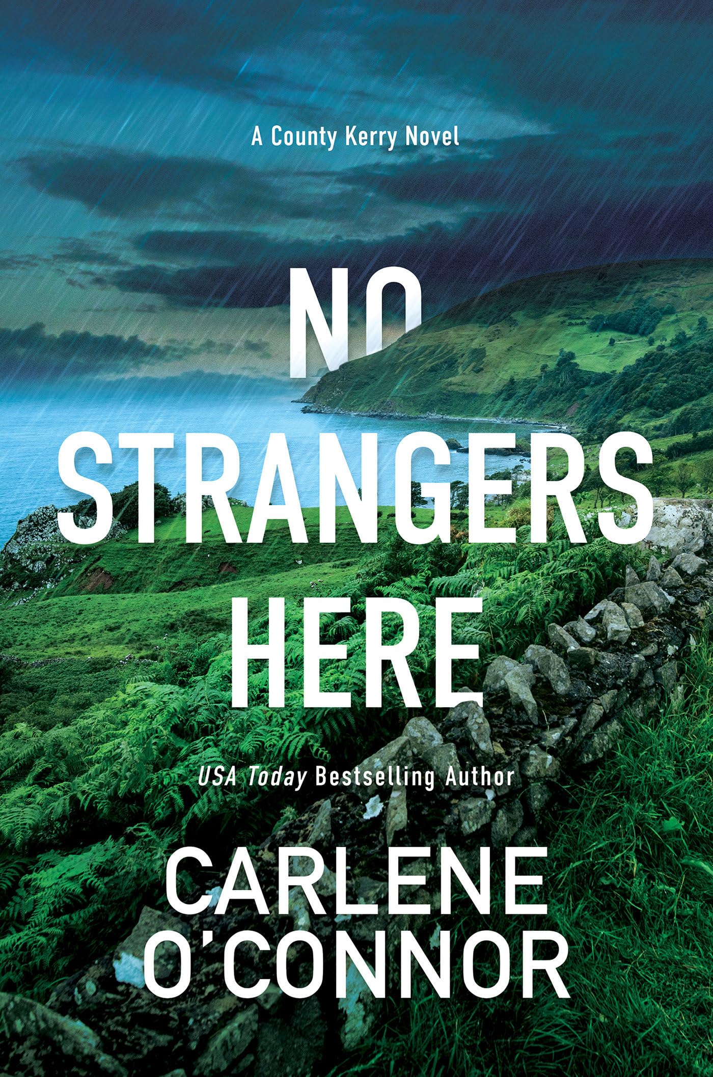 No Strangers Here: A Riveting Irish Thriller (A County Kerry Novel, Band 1) Contemporary literature
