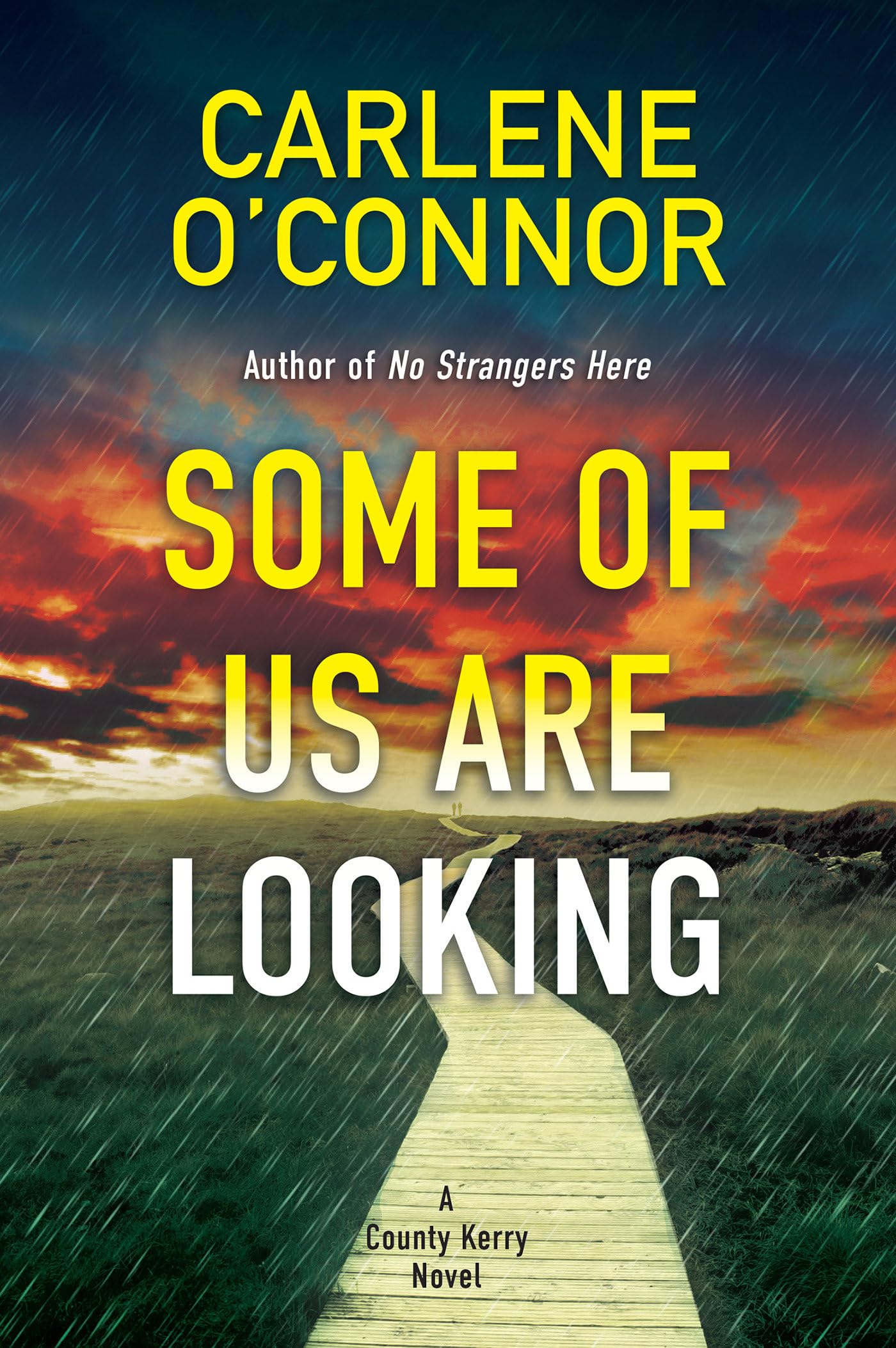 Some of Us Are Looking (A County Kerry Novel, Band 2) Contemporary literature