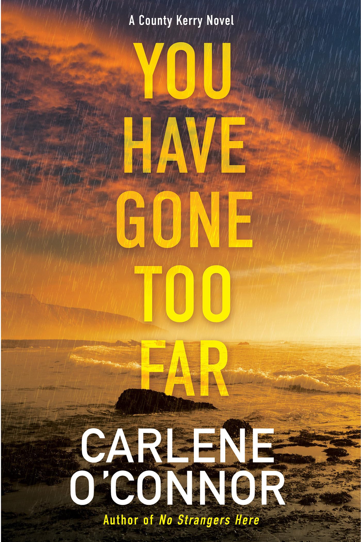 You Have Gone Too Far (A County Kerry Novel, Band 3) Contemporary literature