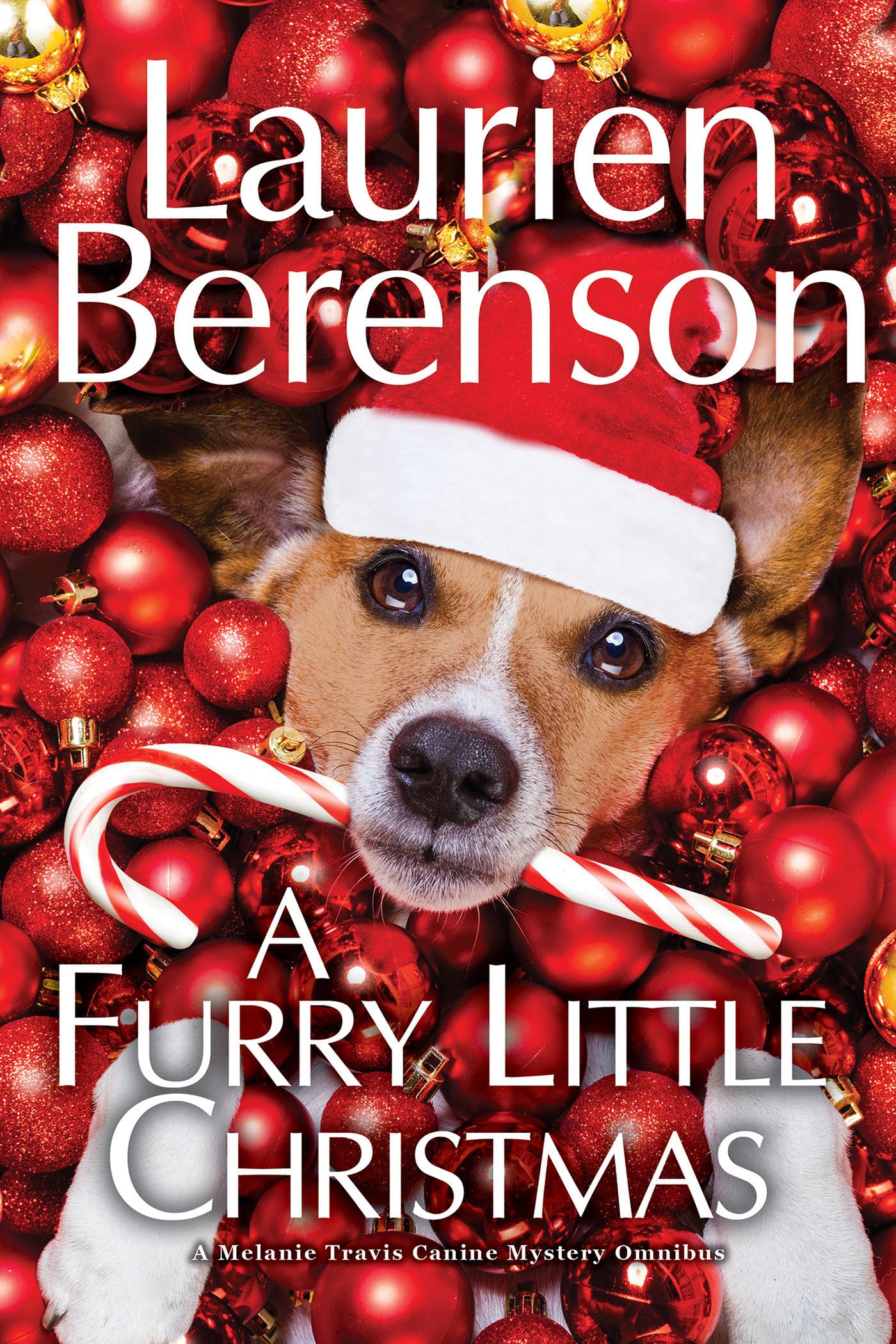 A Furry Little Christmas (A Melanie Travis Canine Mystery) Contemporary literature
