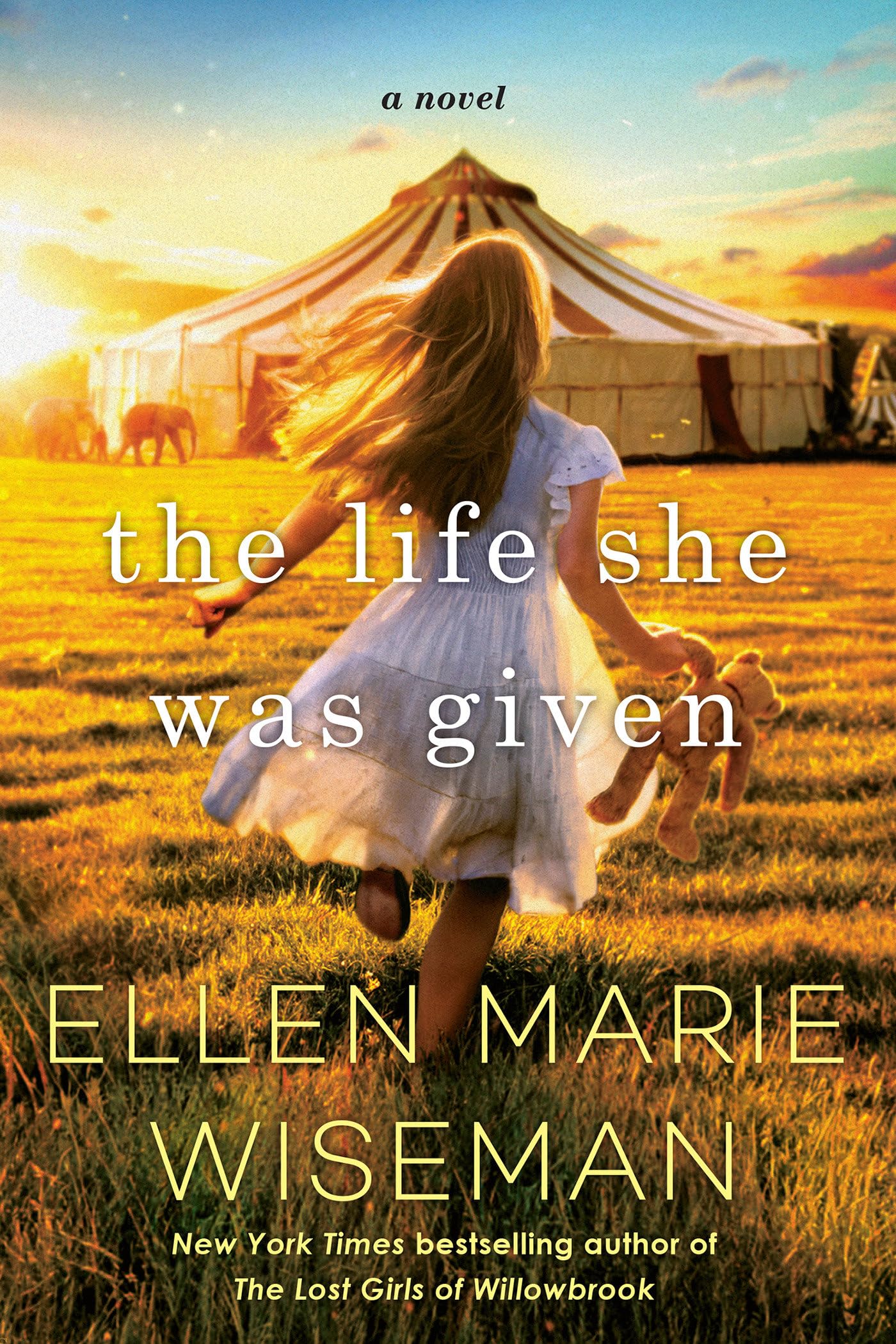 The Life She Was Given: A Moving and Emotional Saga of Family and Resilient Women Contemporary literature Books