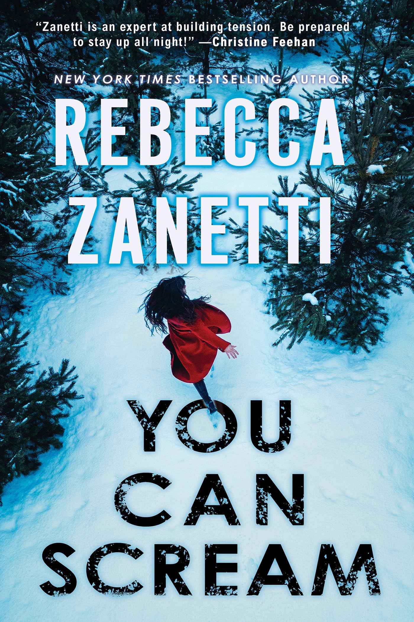 You Can Scream (A Laurel Snow Thriller, Band 5) Contemporary literature
