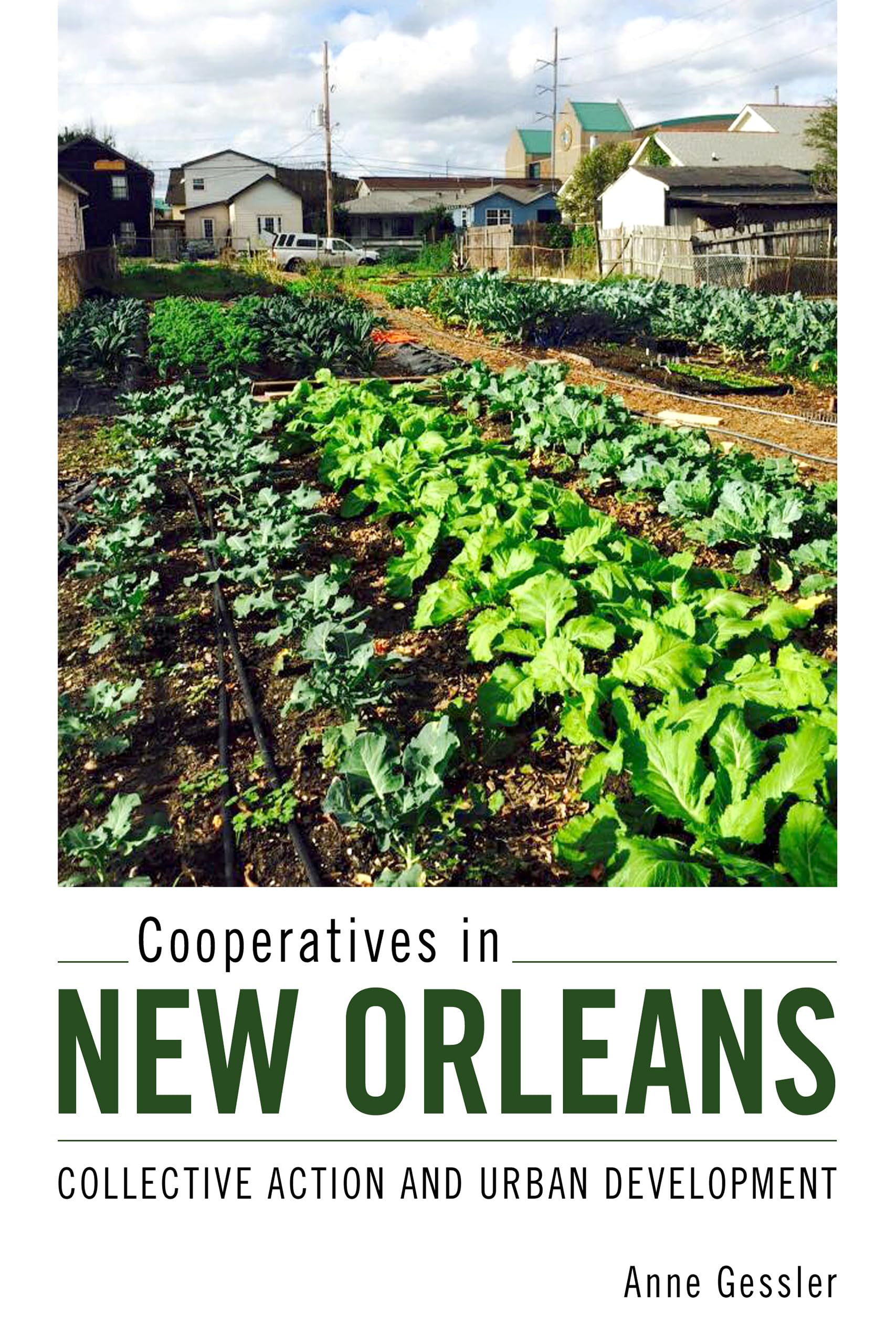 Cooperatives in New Orleans: Collective Action and Urban Development Social Sciences