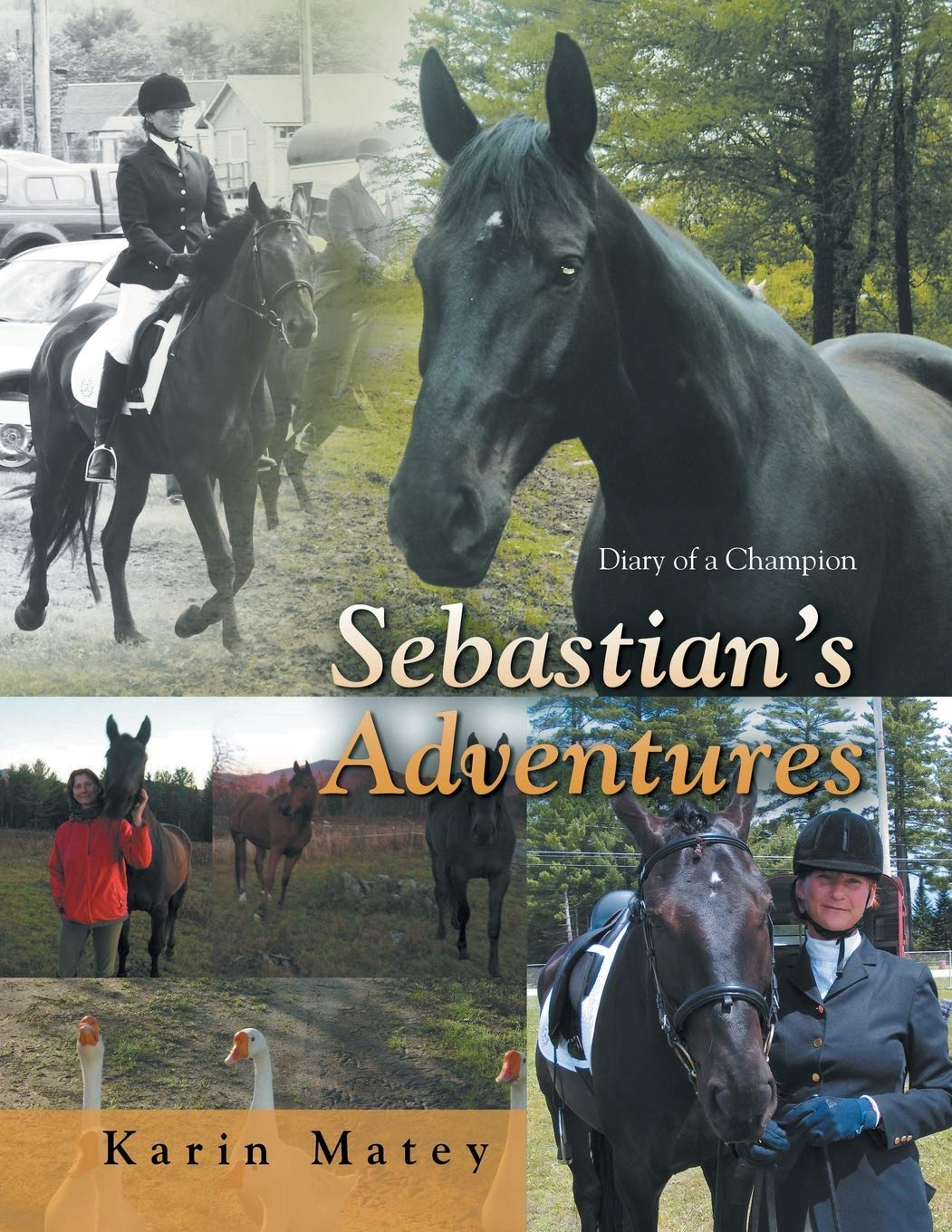 Sebastian s Adventures: Diary of a Champion Mathematics