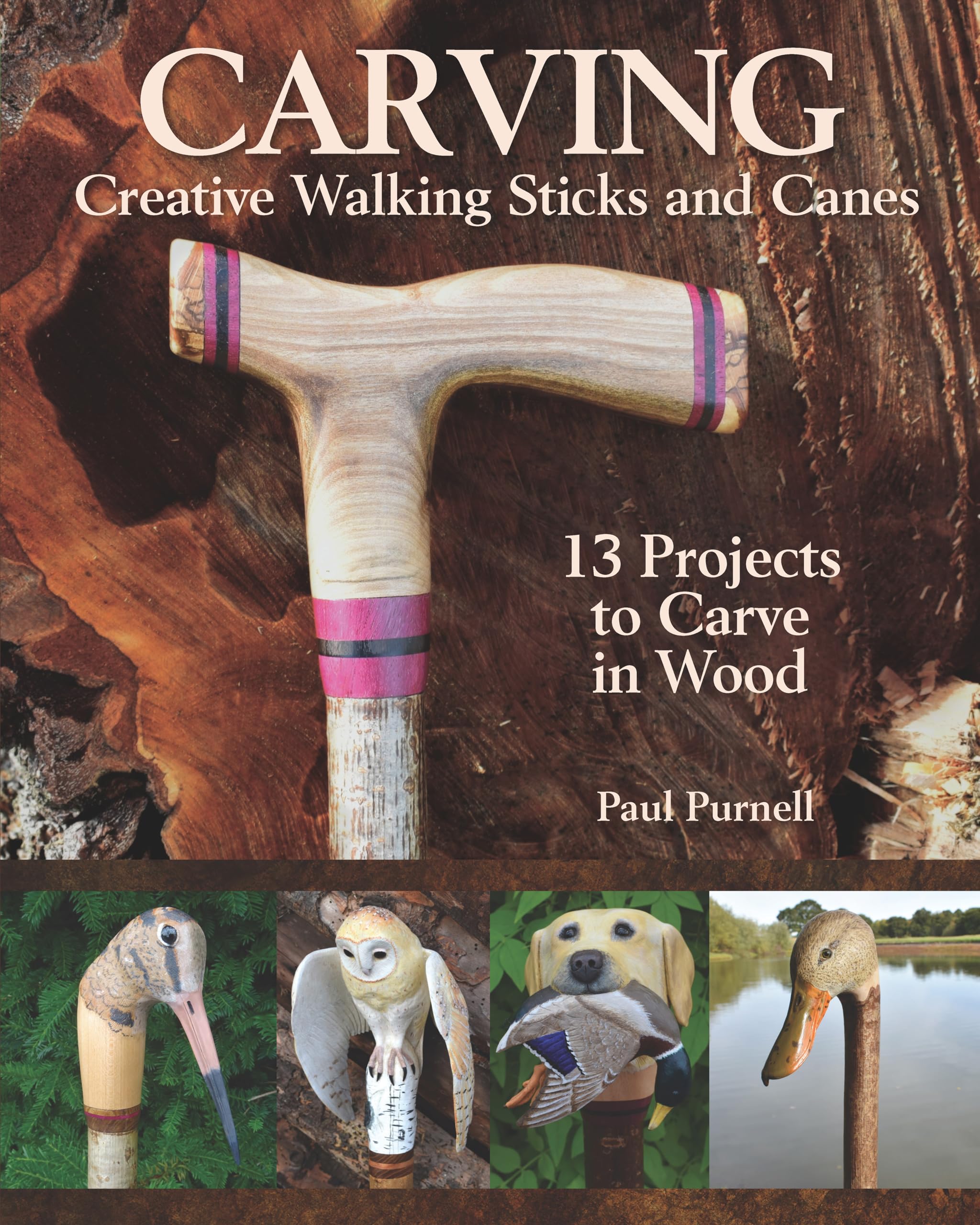 Carving Creative Walking Sticks and Canes: 13 Projects to Carve in Wood Hobbies & Crafts