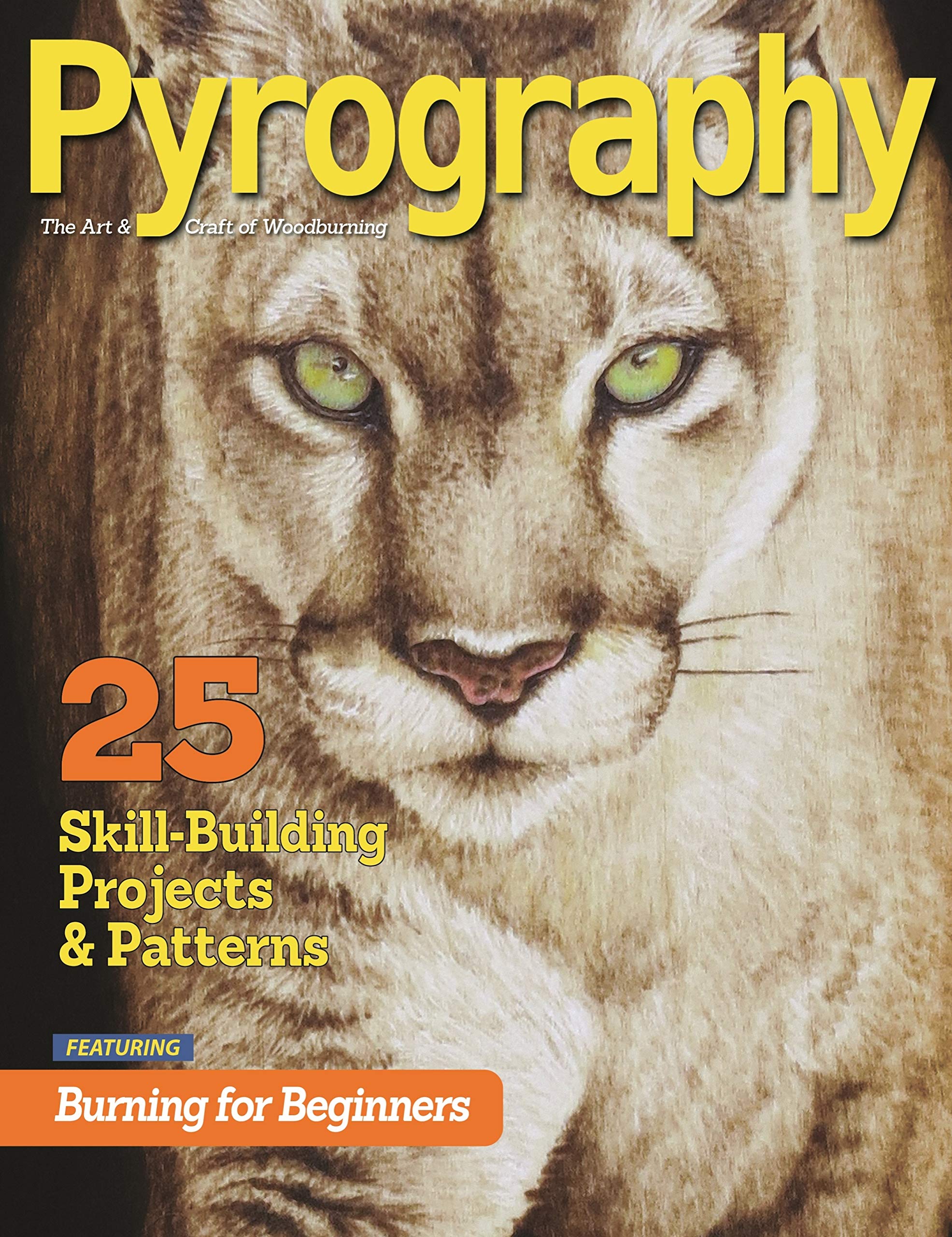 Pyrography Special Edition Hobbies & Crafts