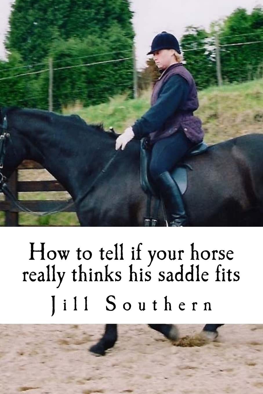 How to tell if your horse really thinks his saddle fits: and how his behaviour shows you if it doesn't Pets