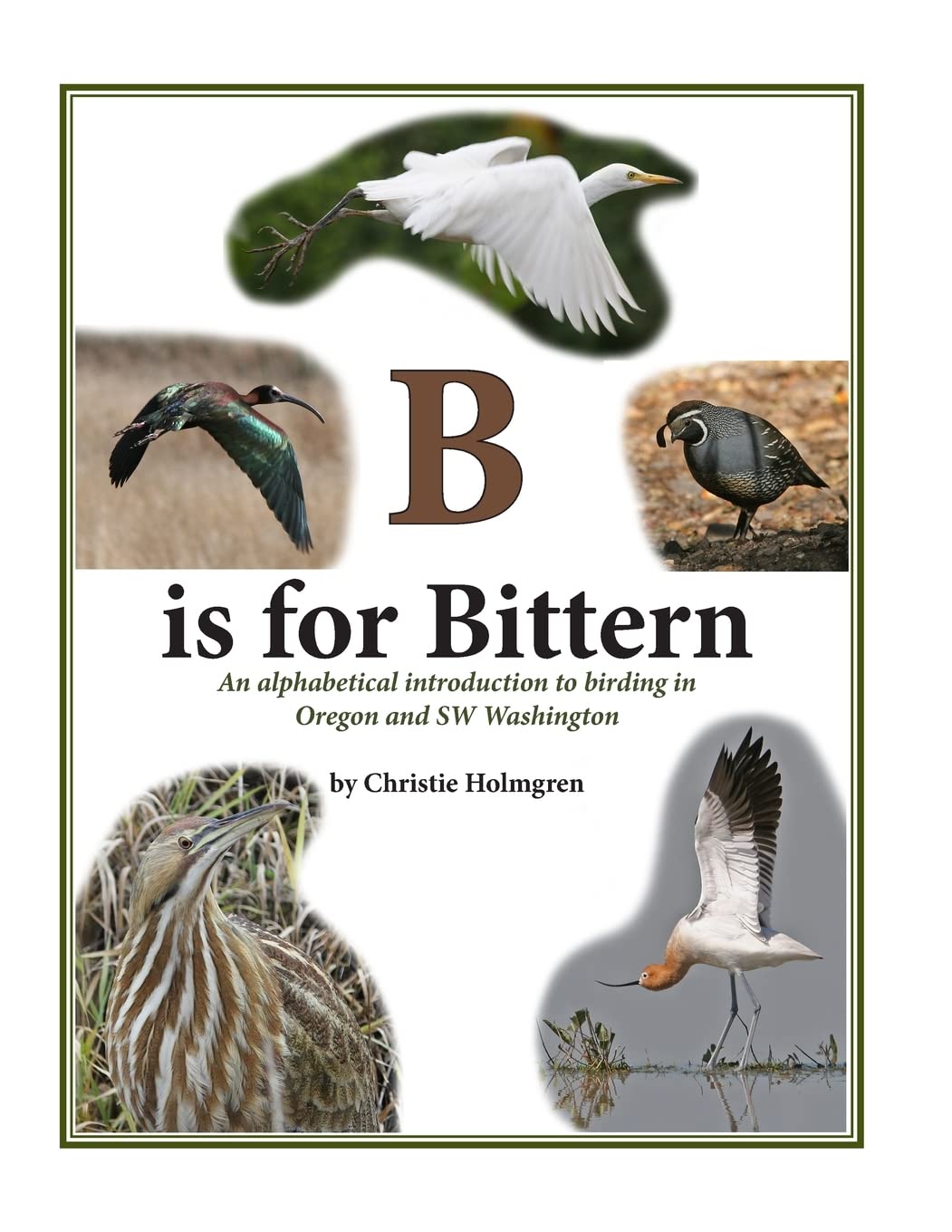 B is for Bittern: An alphabetical introduction to birding in Oregon and SW Washington Mathematics